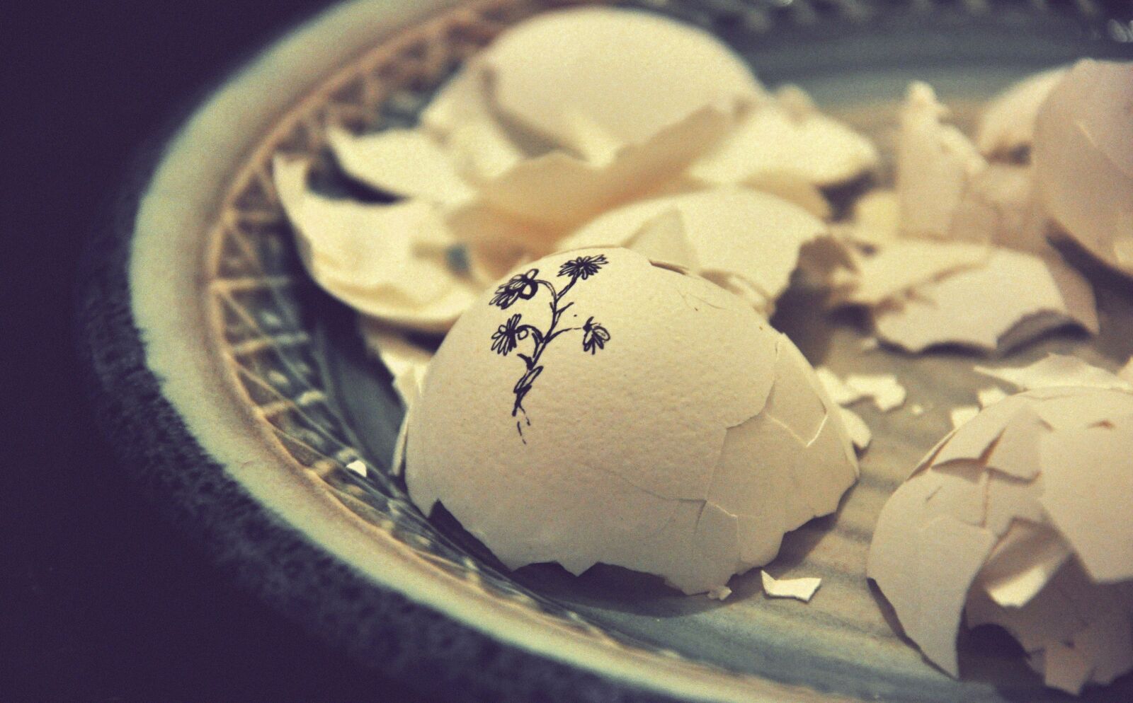 Nikon D90 sample photo. Plate, egg, shell photography