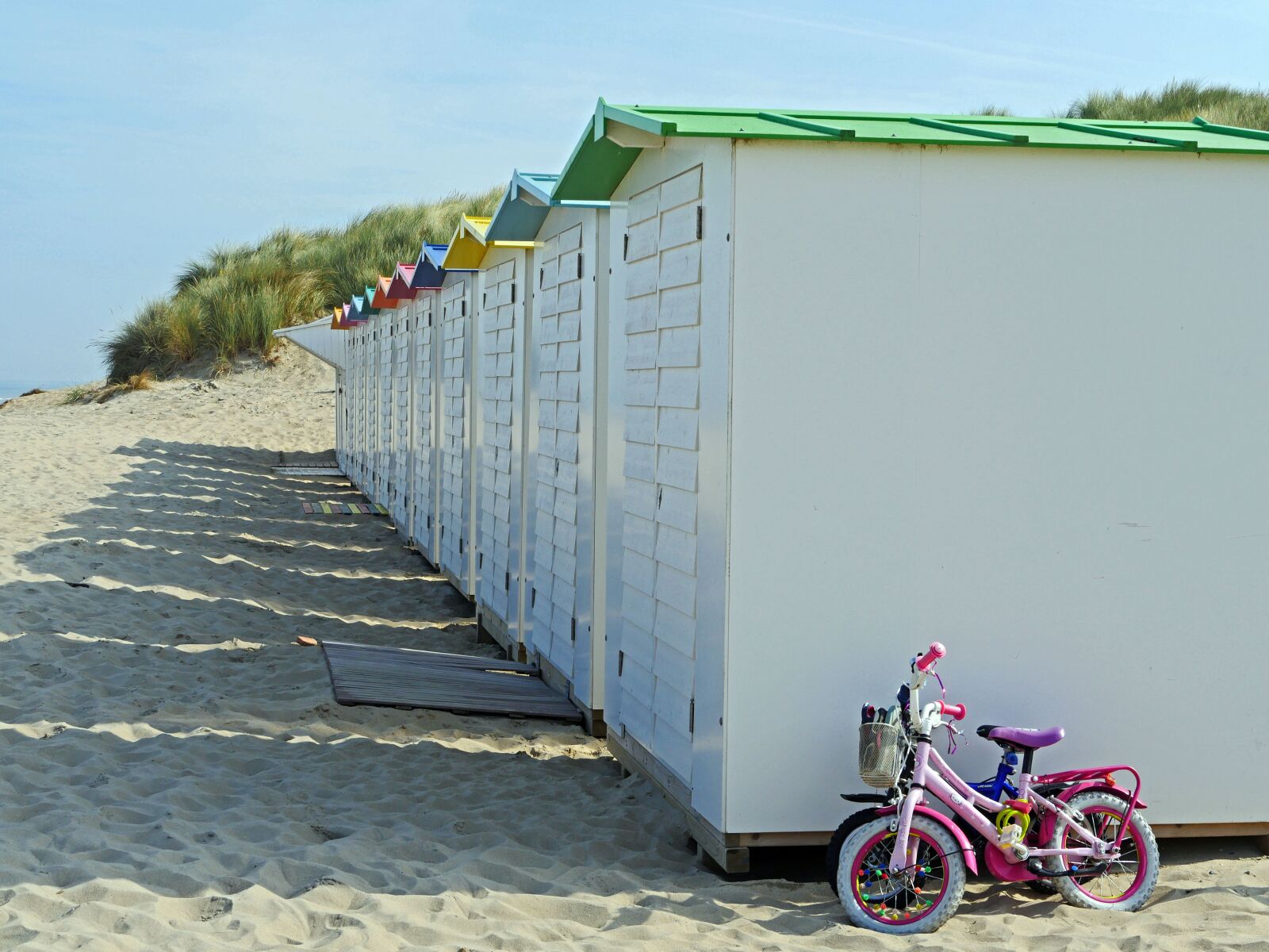 Panasonic Lumix DMC-GX8 sample photo. Fun on the beach photography