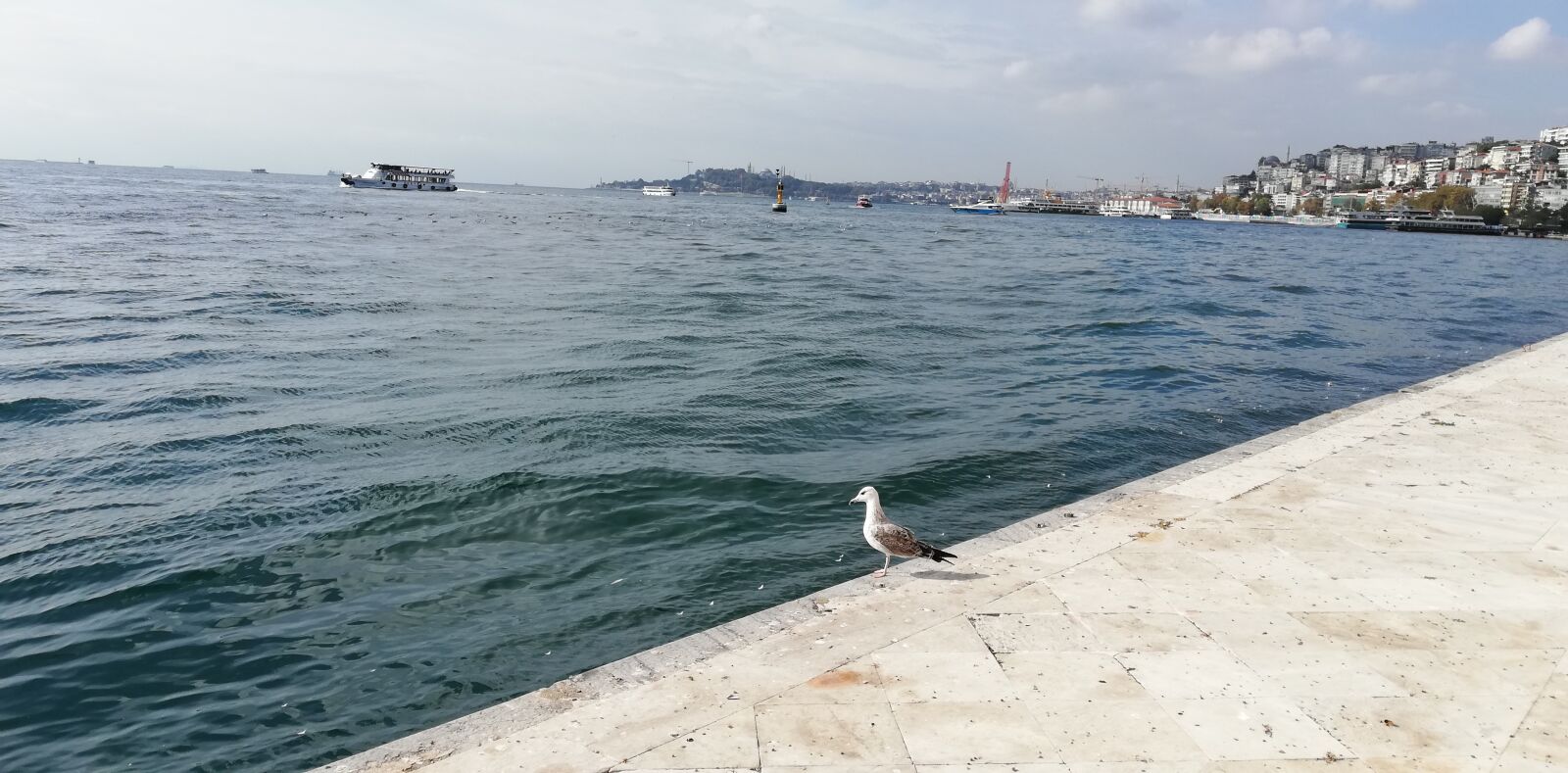 HUAWEI P20 lite sample photo. Bosphorus, istanbul, dolmabace photography