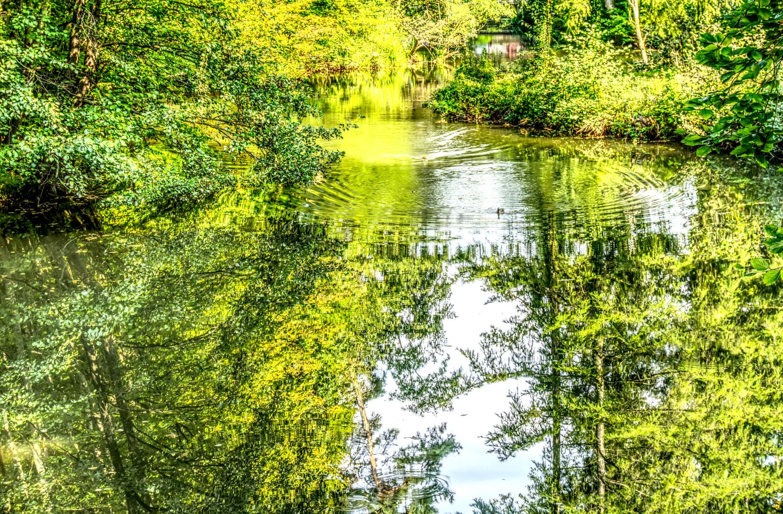 Sony a6000 sample photo. Lake, forest, mirroring photography