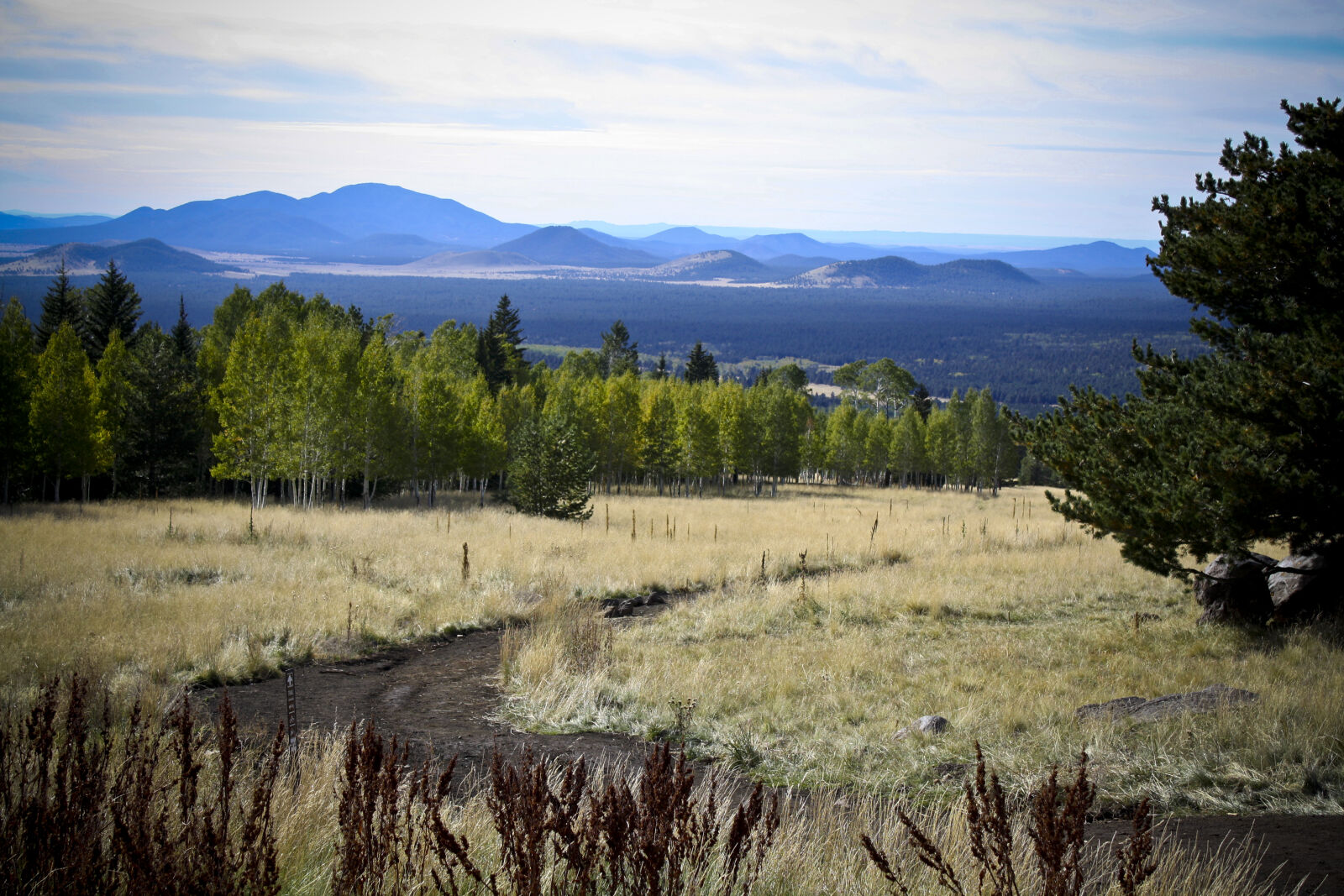 Canon EOS 1000D (EOS Digital Rebel XS / EOS Kiss F) sample photo. Calm, field, grass, mountain photography