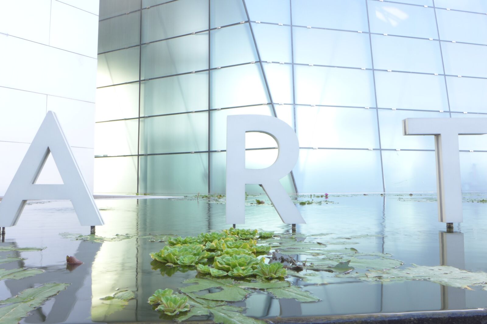 Leica D-Lux 6 sample photo. Art, reflexion, building photography