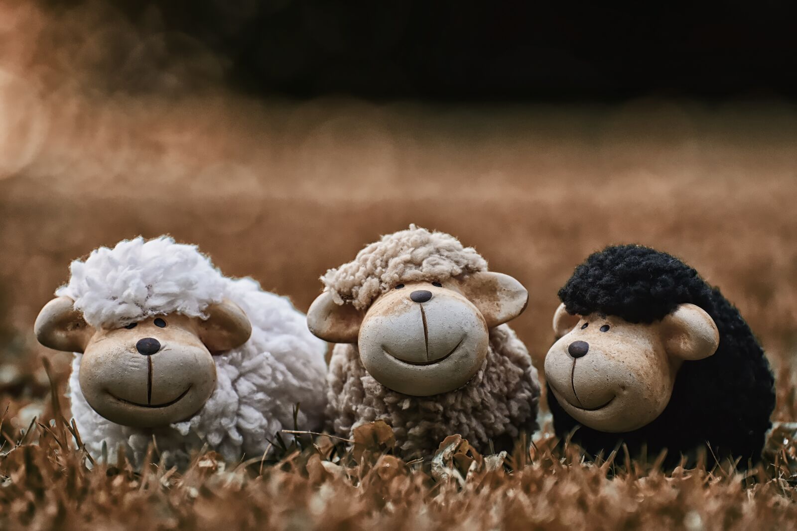 Nikon D7200 sample photo. Sheep, animals, deco photography
