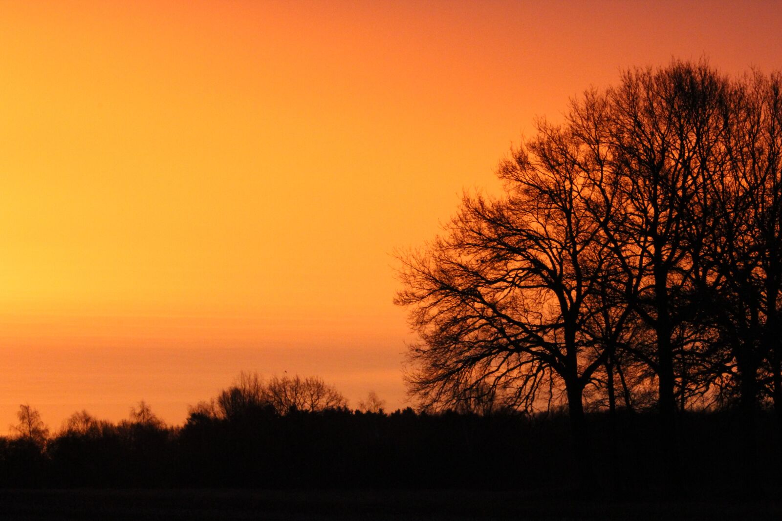Canon EOS 1200D (EOS Rebel T5 / EOS Kiss X70 / EOS Hi) sample photo. Morgenrot, sunrise, nature photography