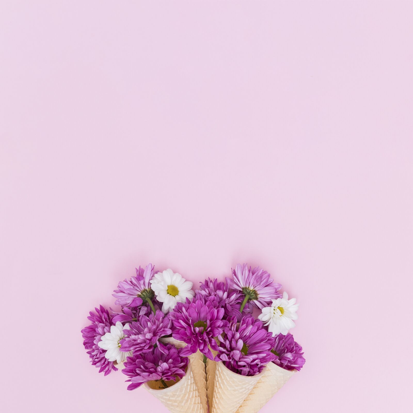 Canon EOS 80D sample photo. Flower, nature, flora photography