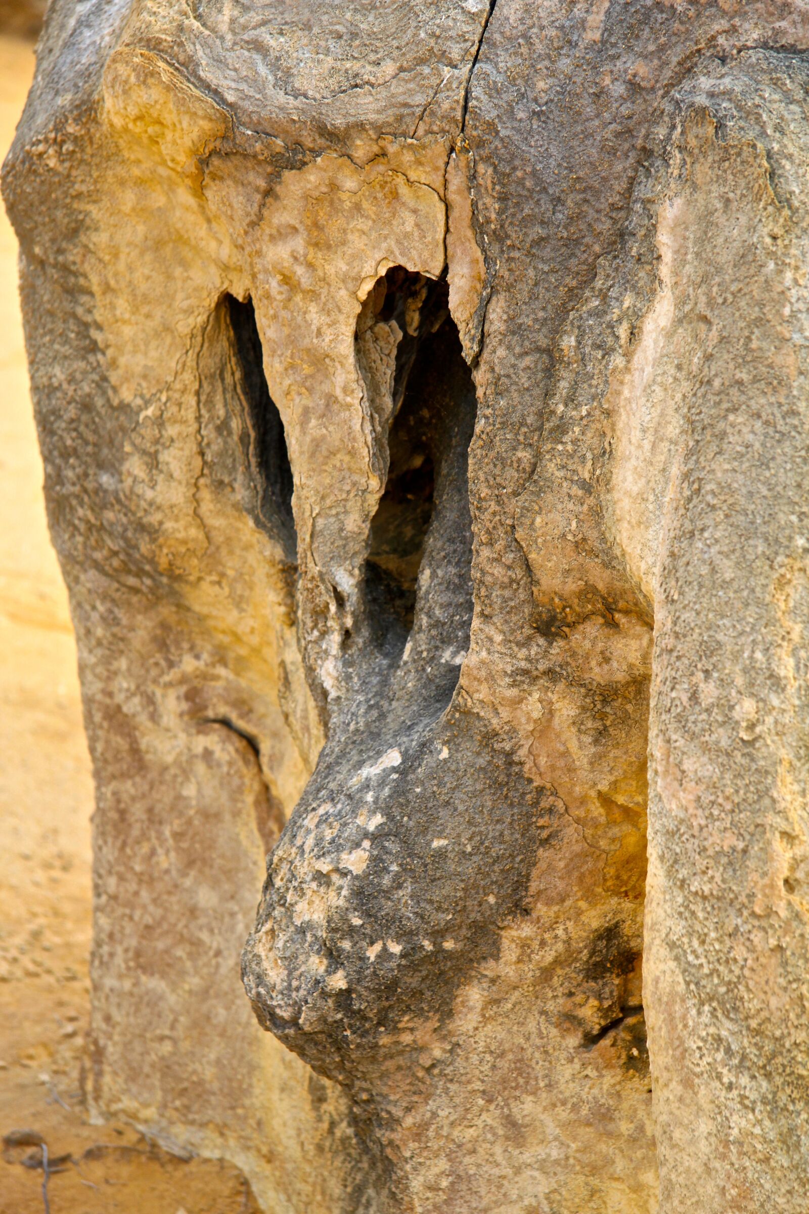 Canon EOS 550D (EOS Rebel T2i / EOS Kiss X4) sample photo. Rock, face, nature photography