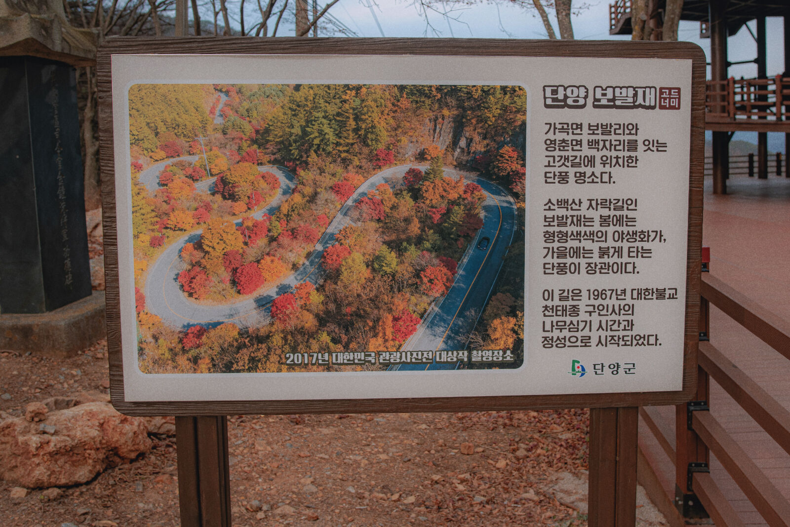 Nikon D810 sample photo