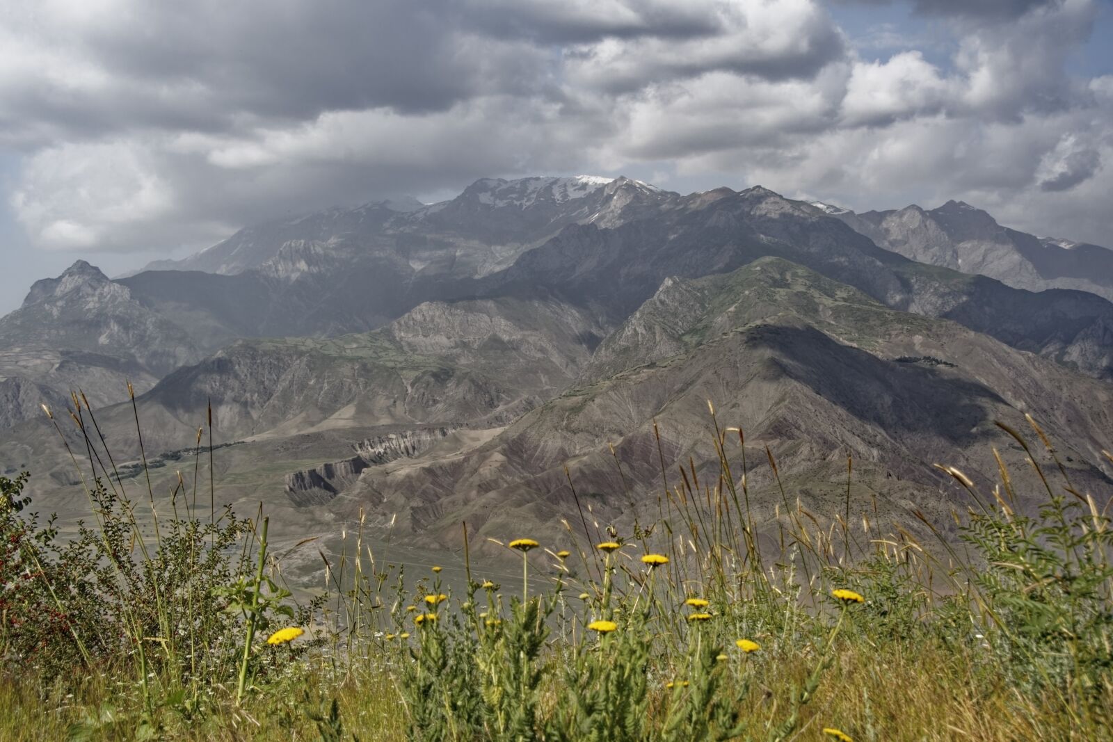 Nikon D500 sample photo. Tajikistan, province of chatlon photography