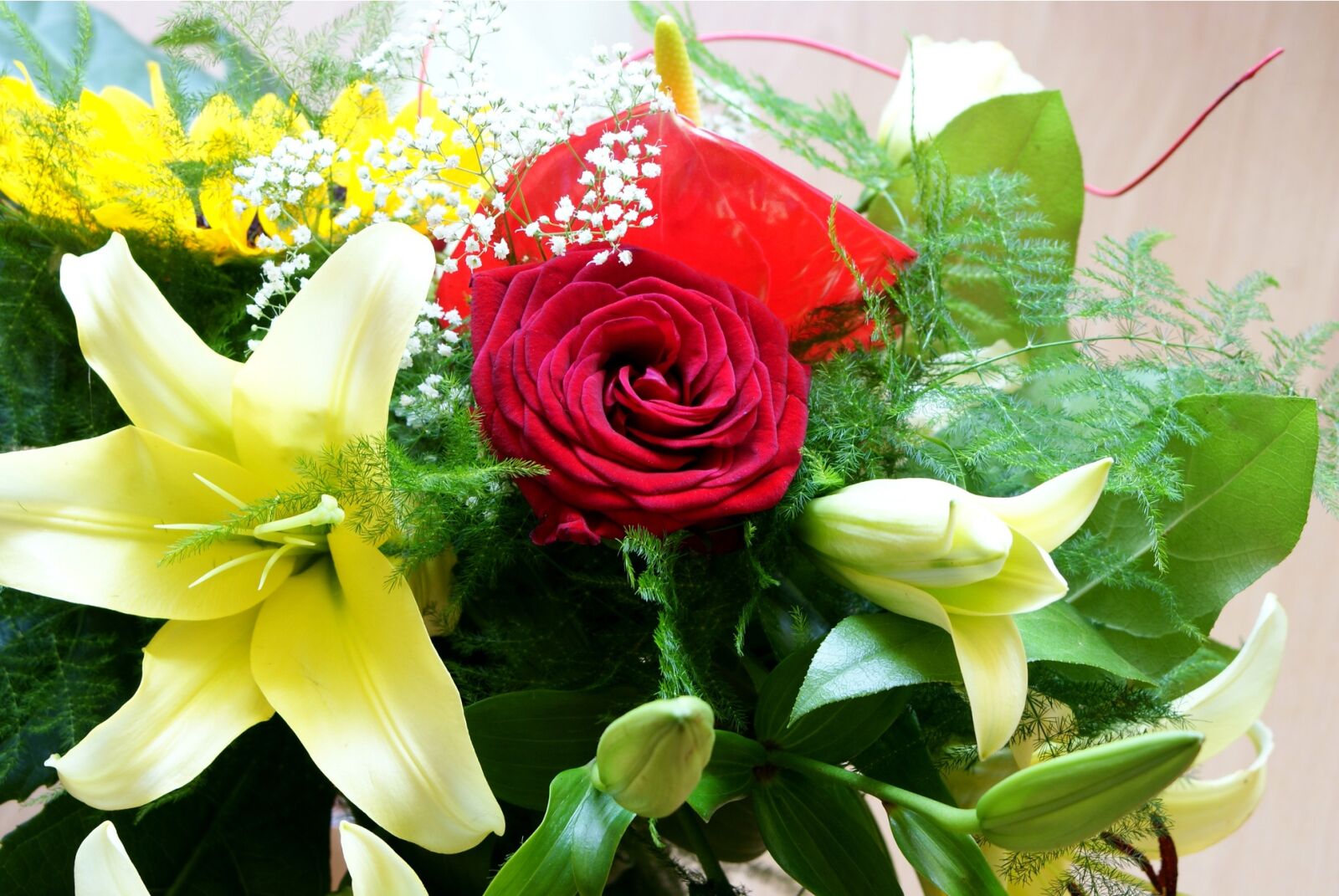 Sony Alpha DSLR-A200 sample photo. Flowers, clear, bouquet photography