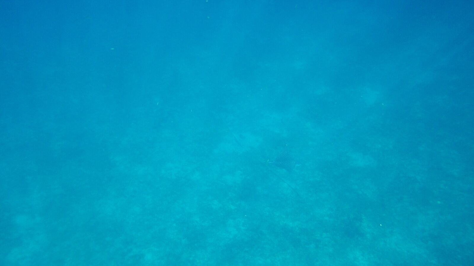 Pentax Optio WG-1 sample photo