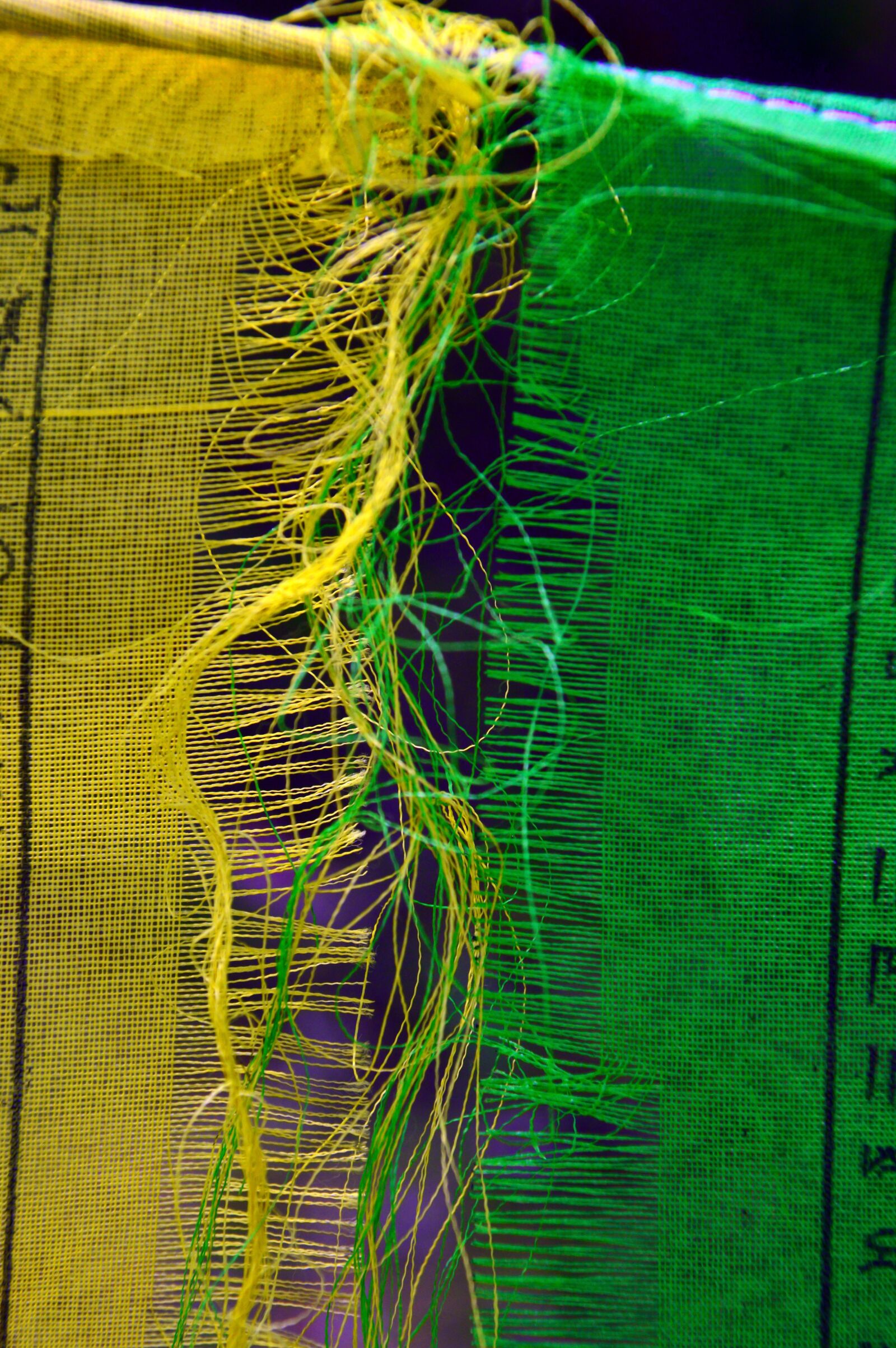 Nikon D3200 sample photo. Zaszlo, prayer flags-yellow, green photography