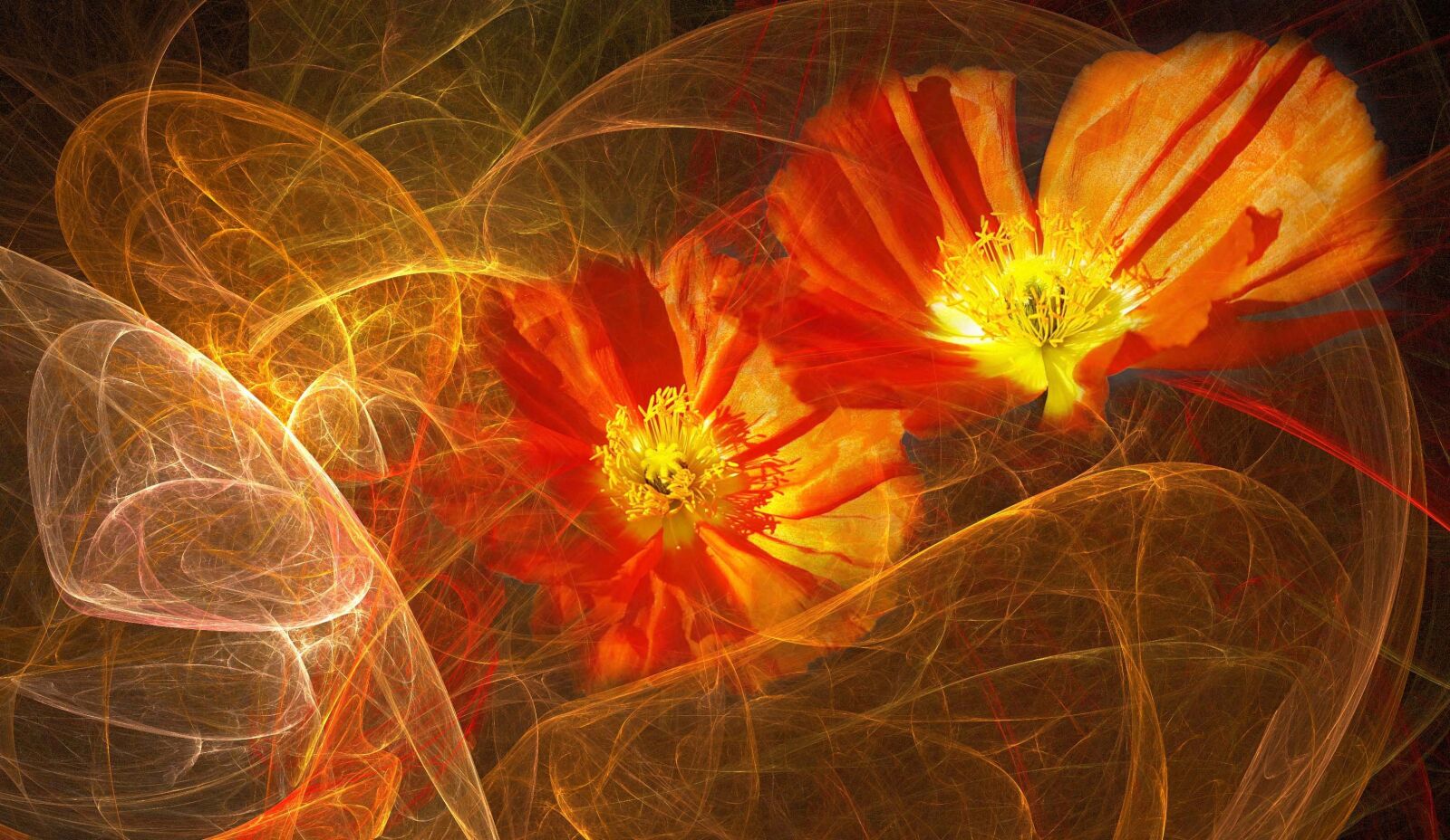 Samsung GALAXY S6 edge sample photo. Flowers, orange, floral composition photography