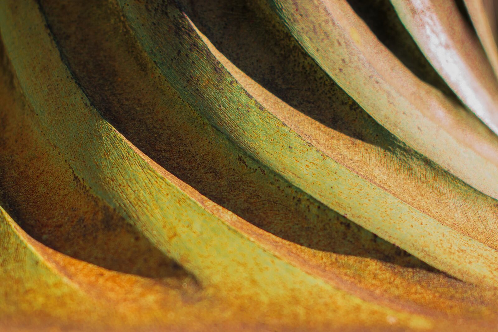 Nikon D3300 sample photo. Texture, green, yellow photography