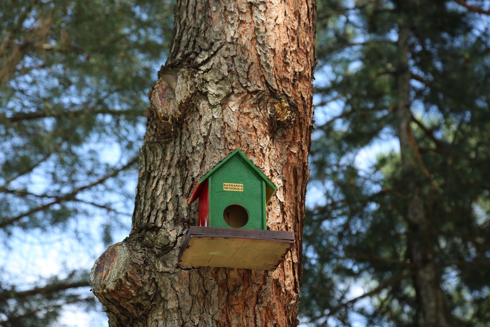 Canon EF 24-105mm F4L IS USM sample photo. Bird, nature, birdhouse photography