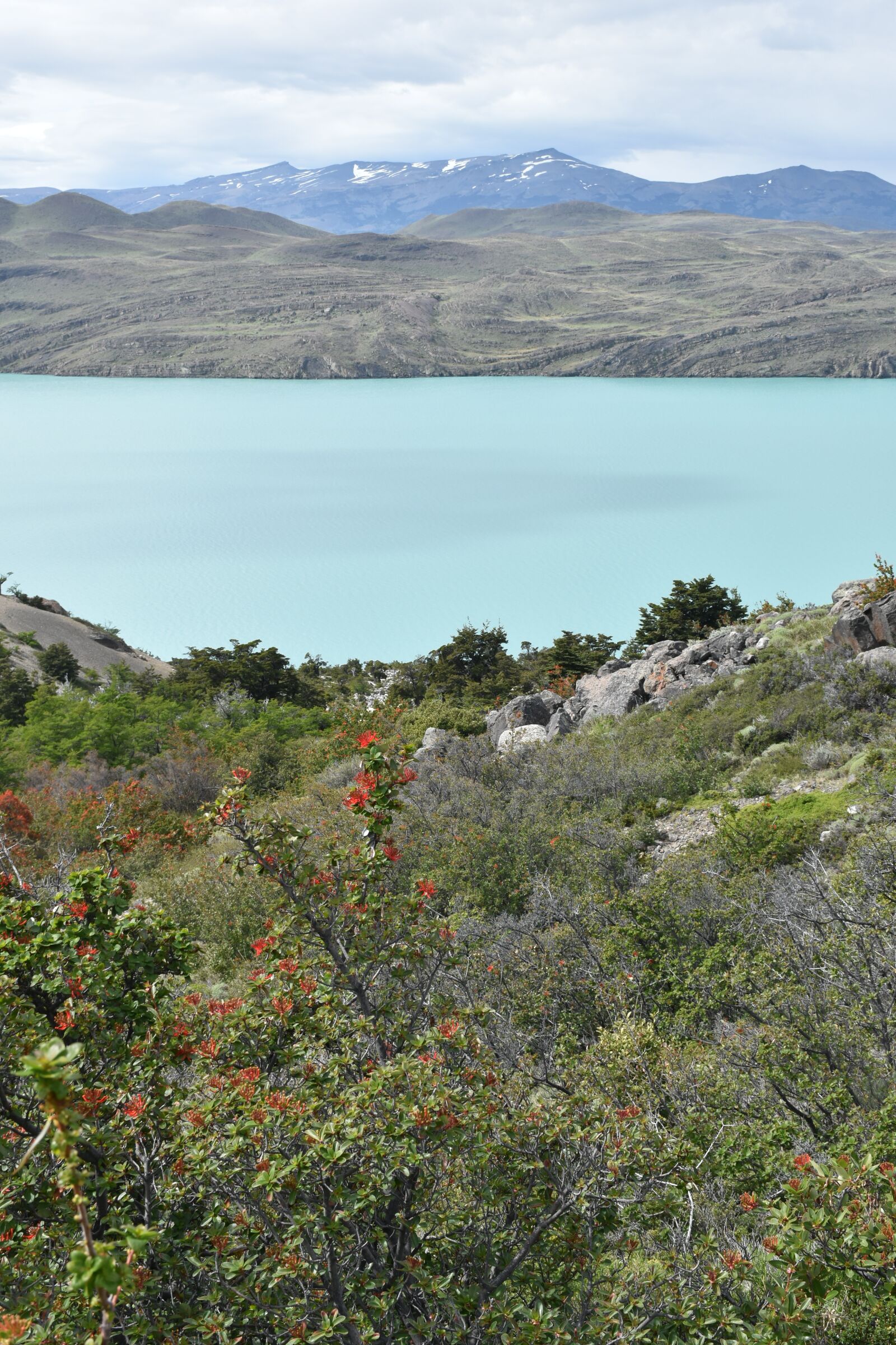 Nikon D5500 sample photo. Patagonia, torres del paine photography