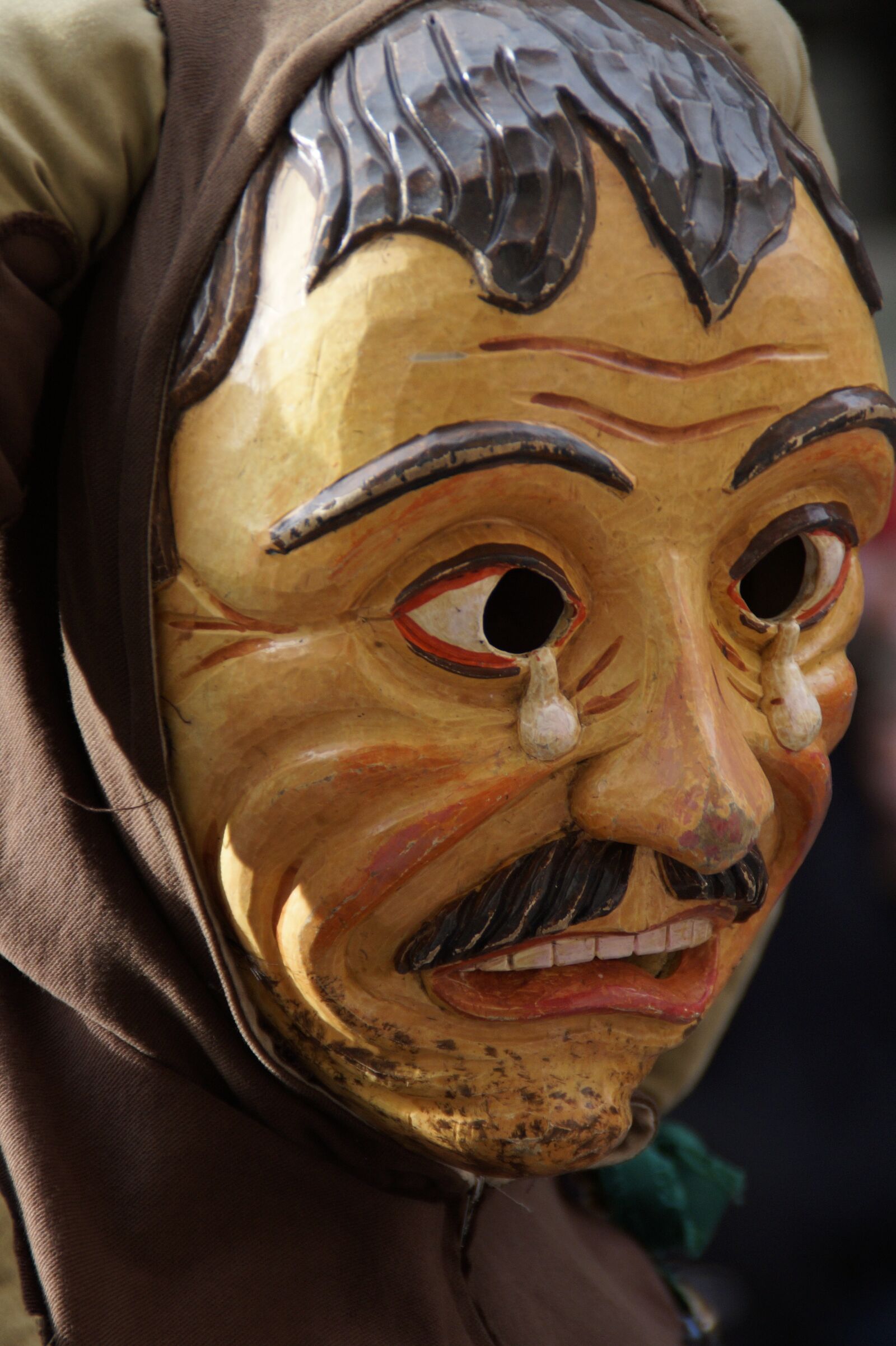 Sony SLT-A58 sample photo. Court jester, schalk, man photography