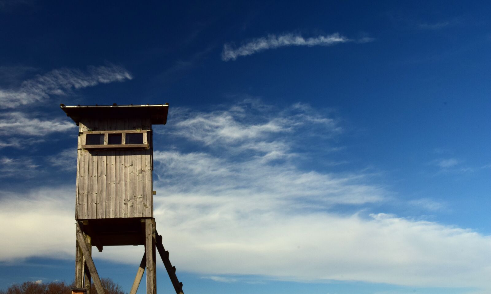 Nikon D3300 sample photo. Perch, delight, hunts photography