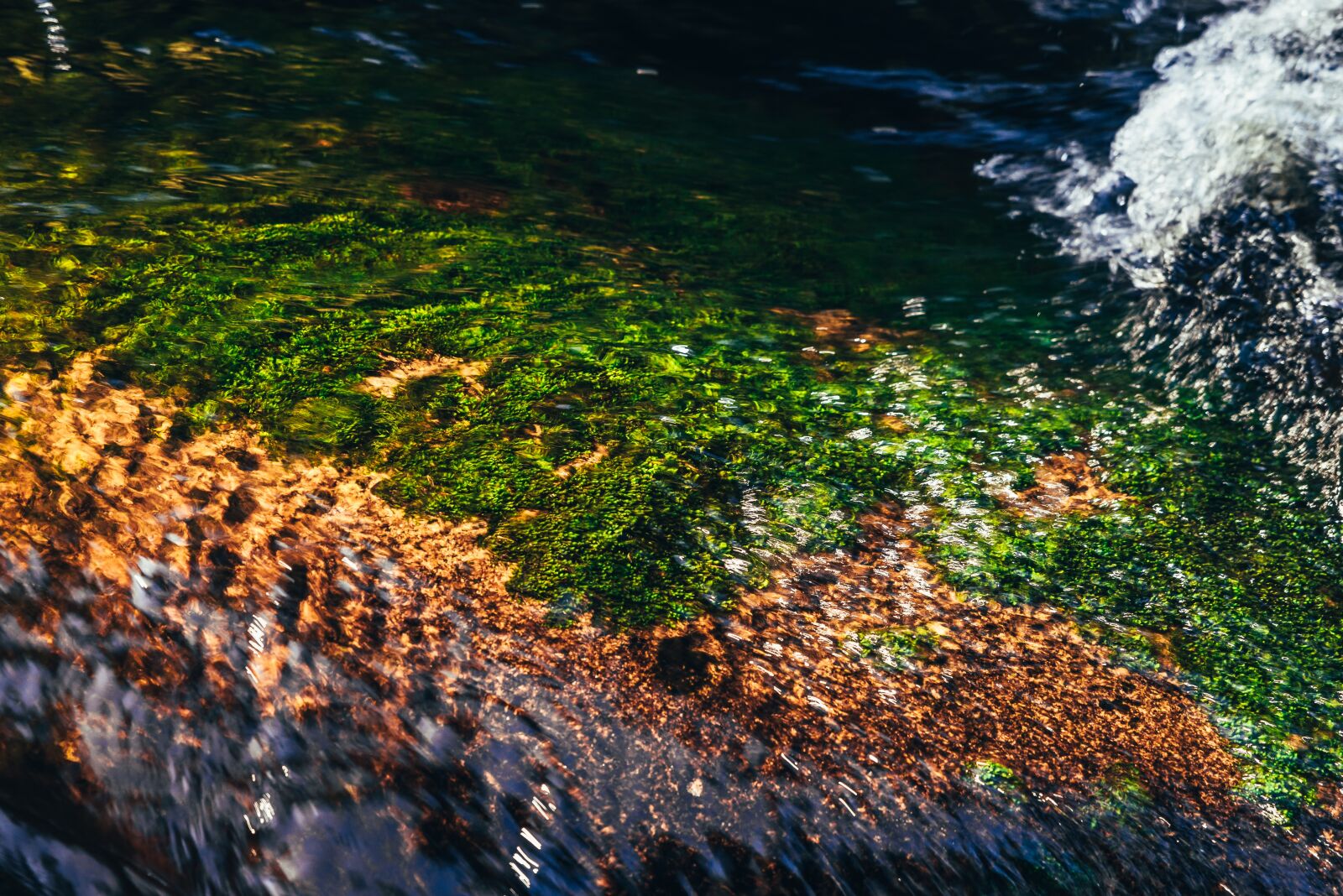 Nikon D810 sample photo. Autumn, water, stream photography