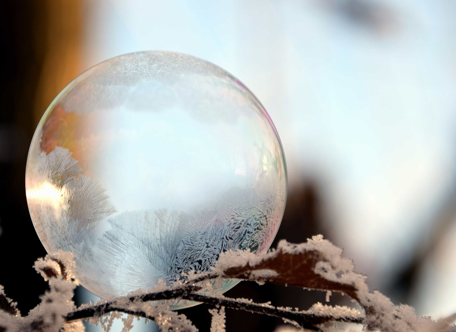 Nikon D3300 sample photo. Nature, sun, ice, reflection photography