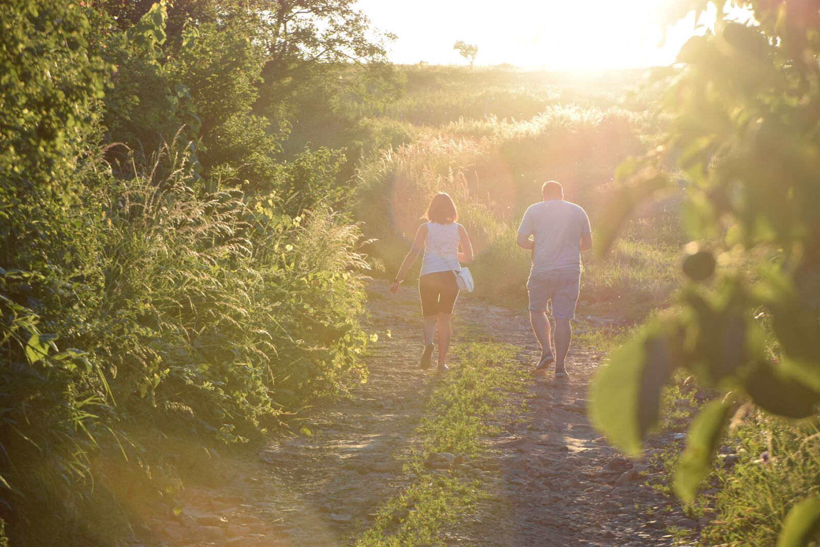 Nikon D3300 sample photo. Walk, day s, romanticism photography