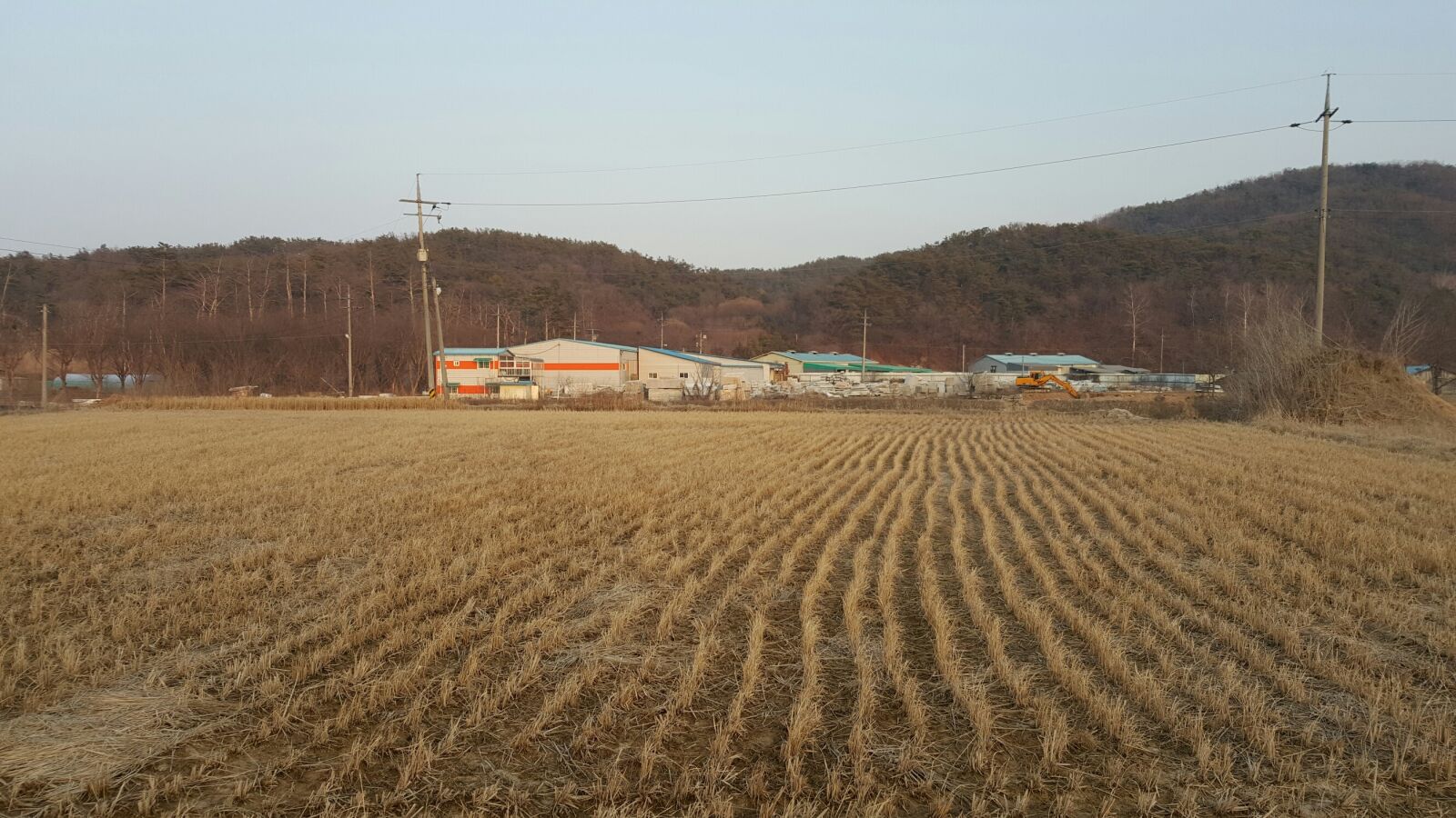 Samsung Galaxy Note5 sample photo. Rice paddies, rice farming photography