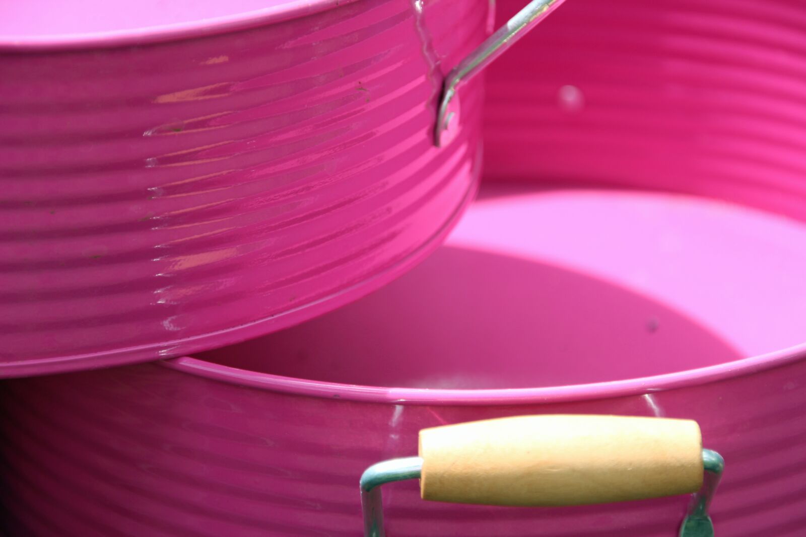 Canon EOS 600D (Rebel EOS T3i / EOS Kiss X5) sample photo. Bucket, close up, pink photography