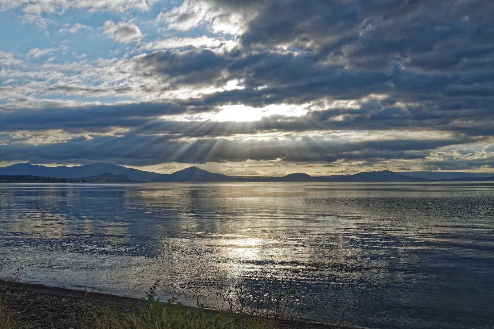 Nikon D500 sample photo. New zealand, lake taupo photography