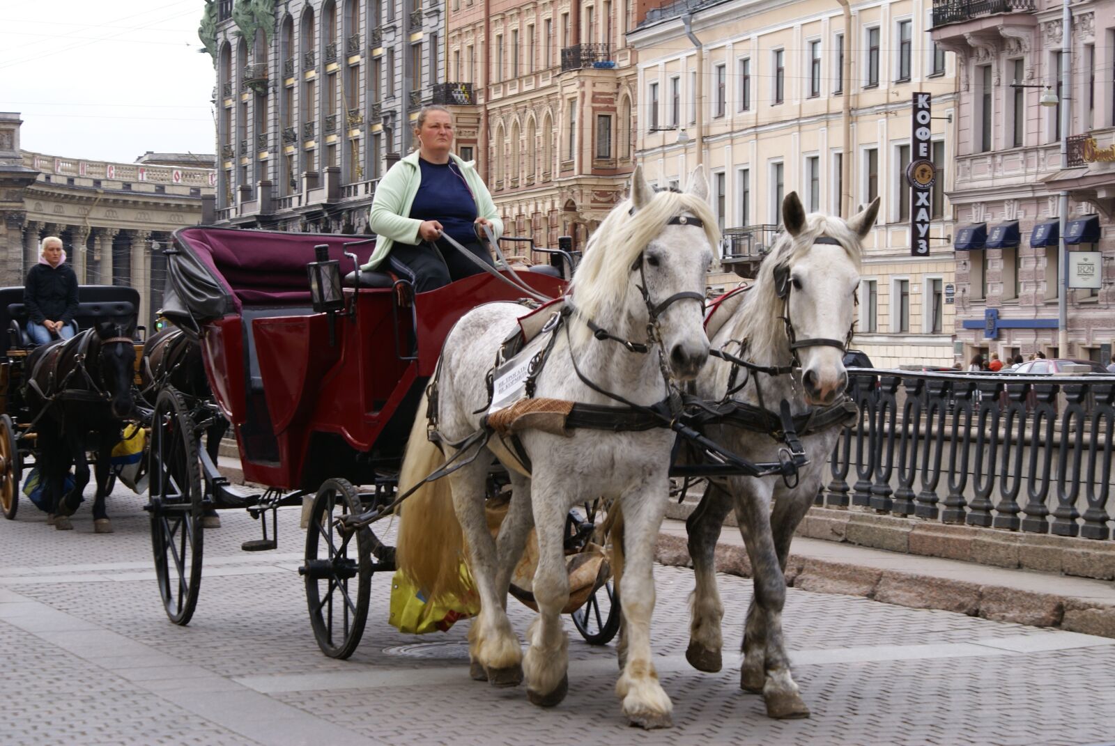 Sony Alpha DSLR-A100 sample photo. Coach, horse, st petersburg photography