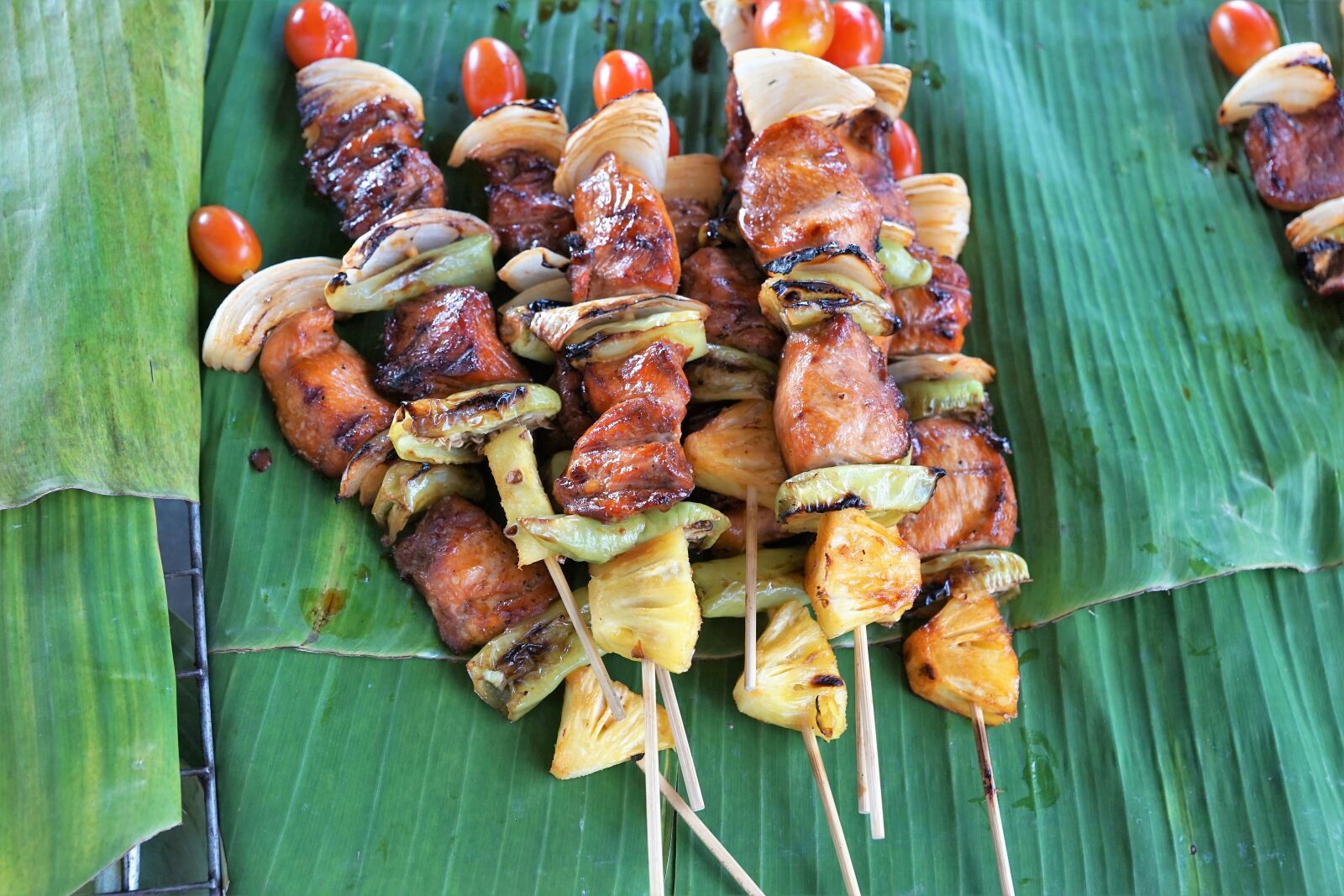 Sony ILCA-77M2 + Sony DT 16-50mm F2.8 SSM sample photo. Spit, food, barbecue photography