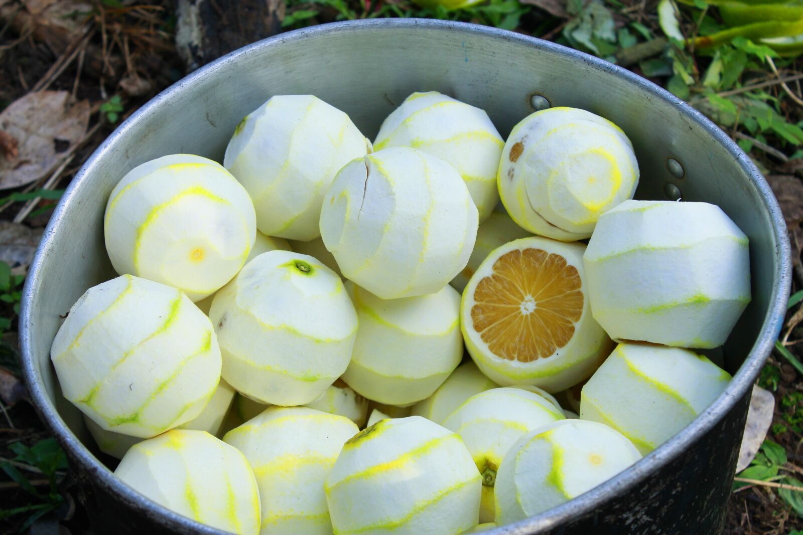 Canon EOS 1100D (EOS Rebel T3 / EOS Kiss X50) sample photo. Oranges, oranges peeled, sweet photography
