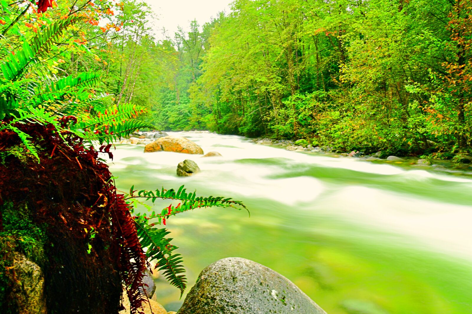 Nikon D7500 sample photo. River, downstream, nature photography