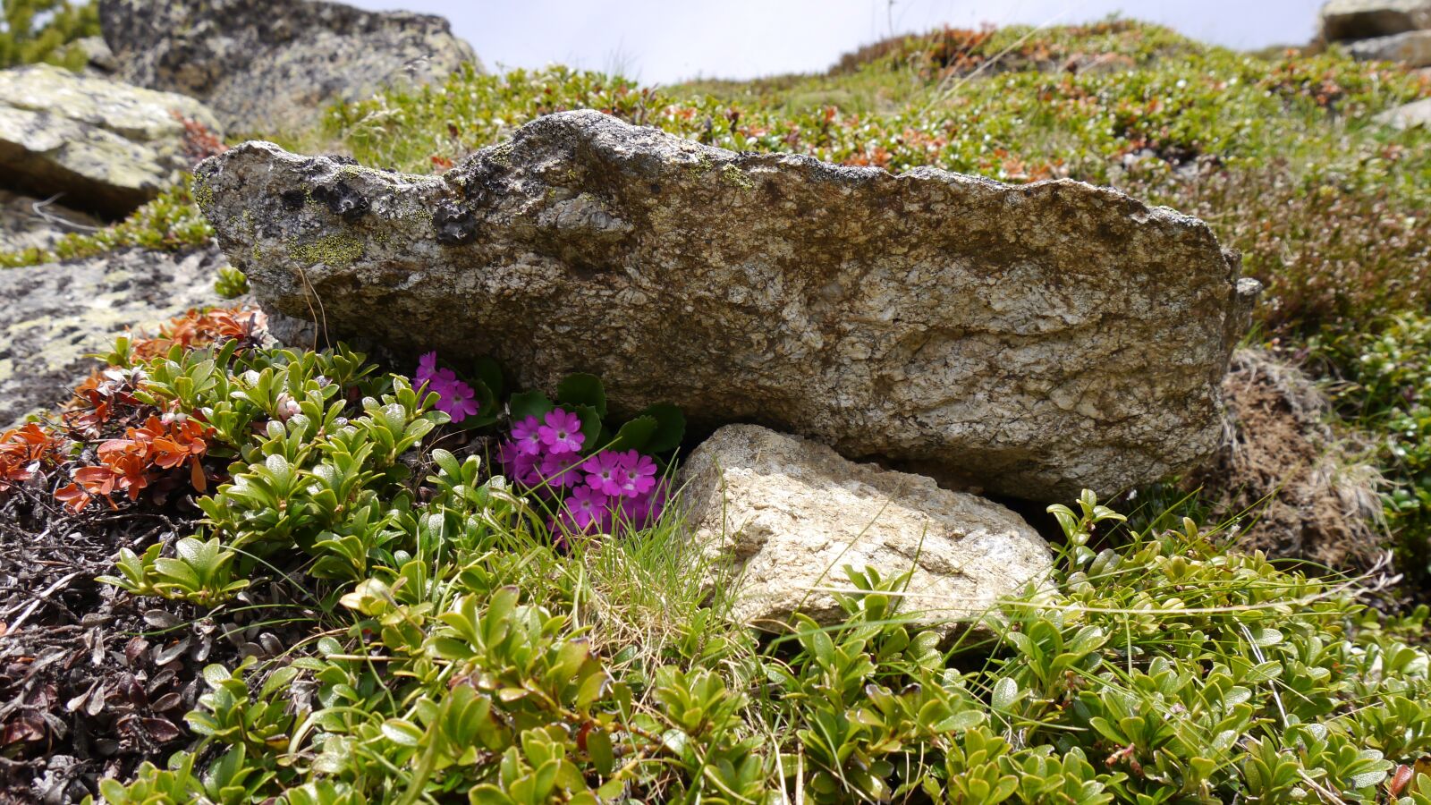 Panasonic Lumix DMC-G5 sample photo. Austria, nature, mountains photography