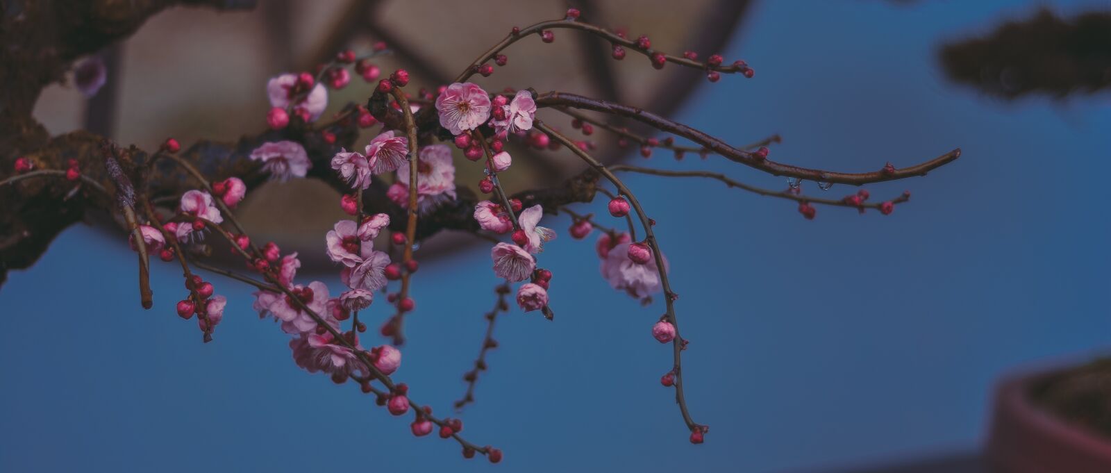 Nikon D7100 sample photo. China wind, suzhou, fragrant photography