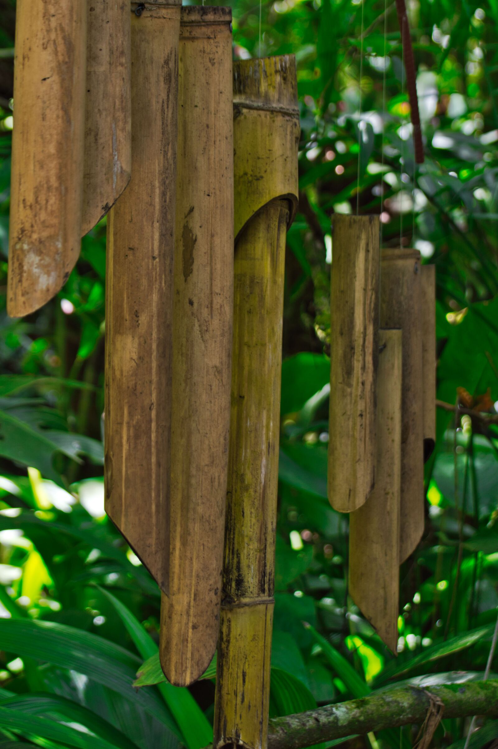 Nikon D3200 sample photo. Cartago, costa rica, wind photography