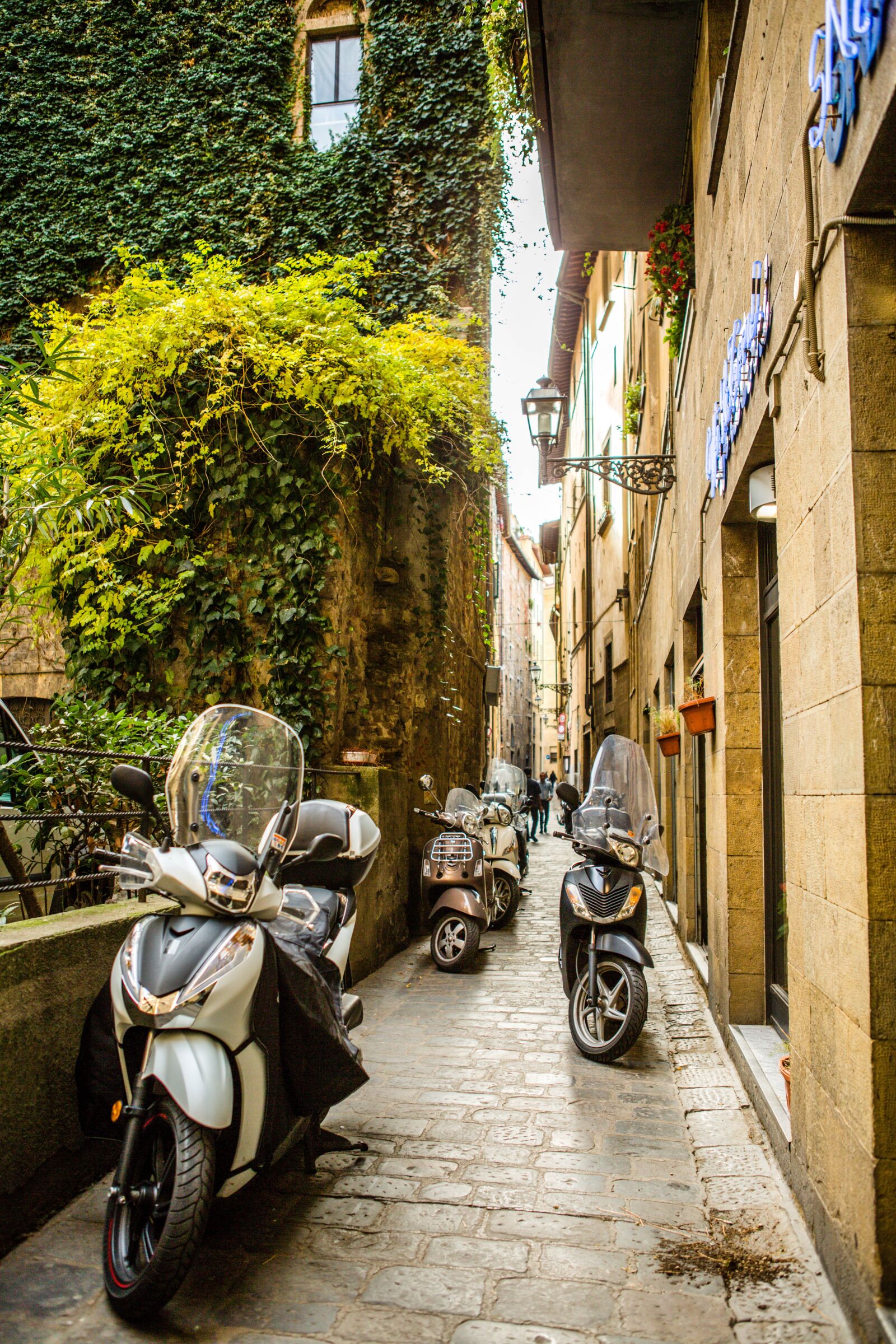 Canon EOS 5D Mark III sample photo. Florence, italy, yard photography