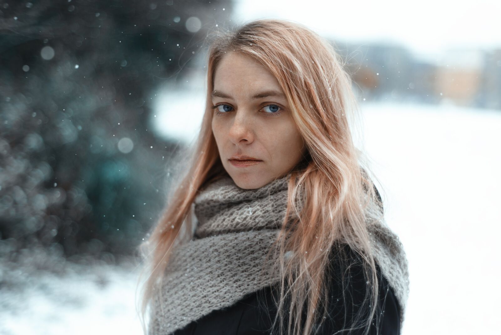 Nikon D600 sample photo. People, nature, winter photography
