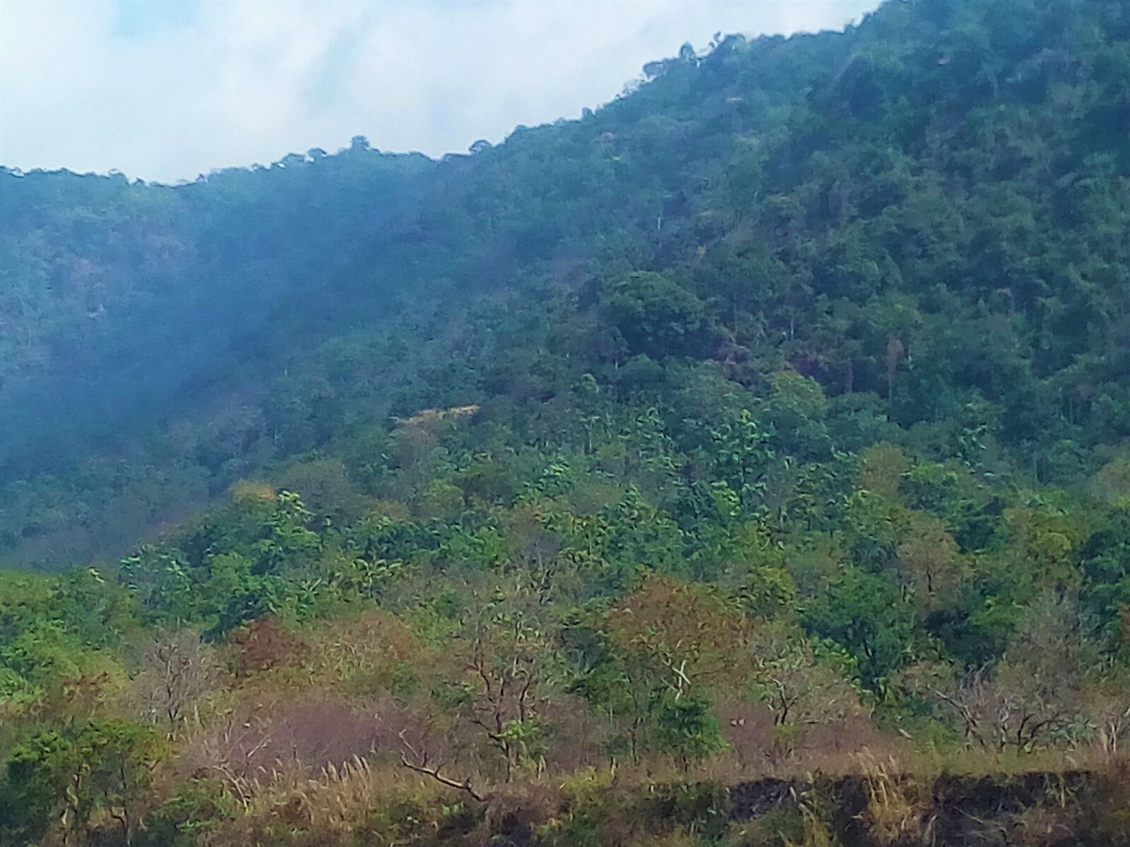 Symphony R100 sample photo. Bangladesh, sylhet, mountain photography