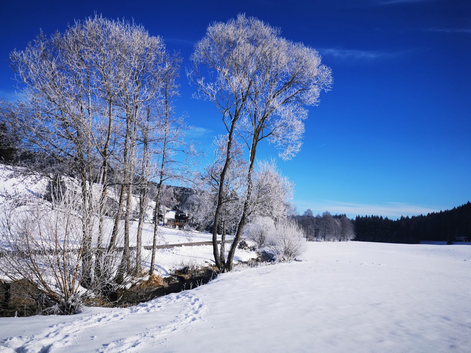 HUAWEI P30 sample photo. Snow landscape, winter, wintry photography