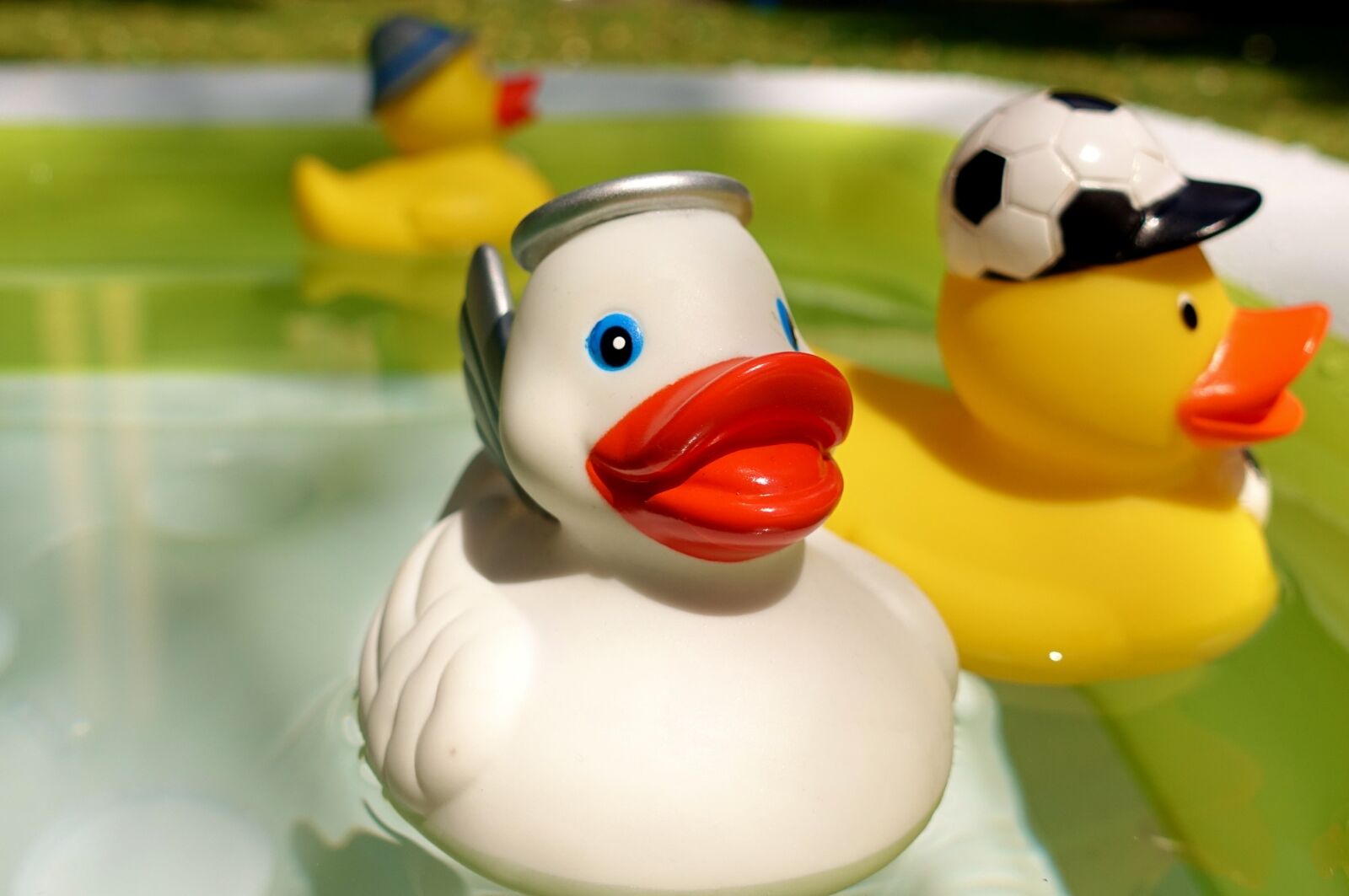 Sony DSC-RX100M5 sample photo. Rubber ducks, quietscheenten, yellow photography