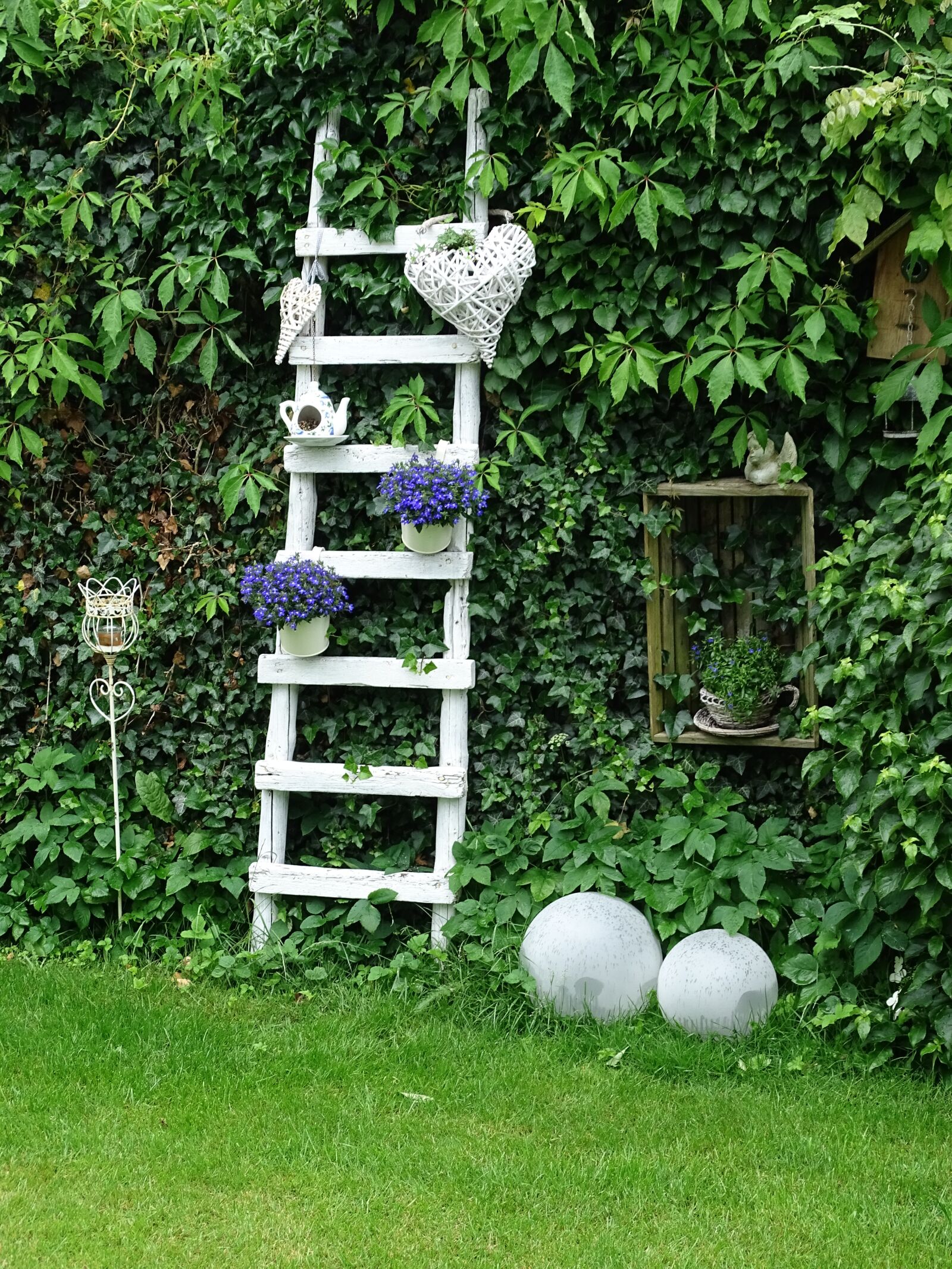 Sony Cyber-shot DSC-HX400V sample photo. Garden, head, summer photography