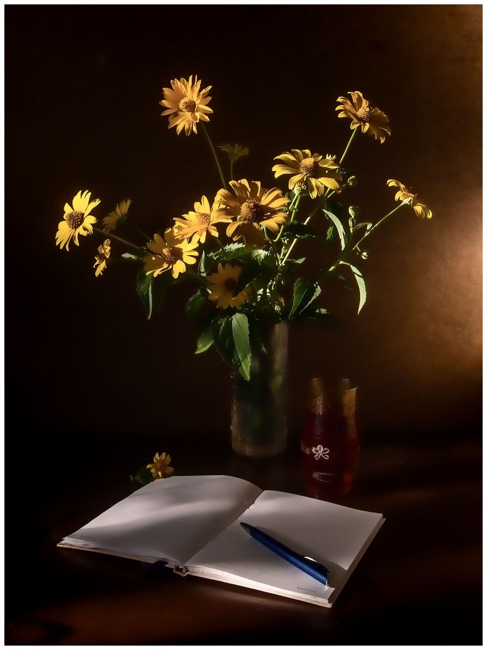 Canon PowerShot A590 IS sample photo. Still life, chamomile, notebook photography