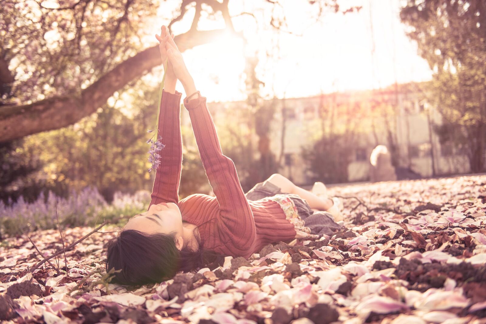 Nikon D800 sample photo. Bonn, sonne, germany photography
