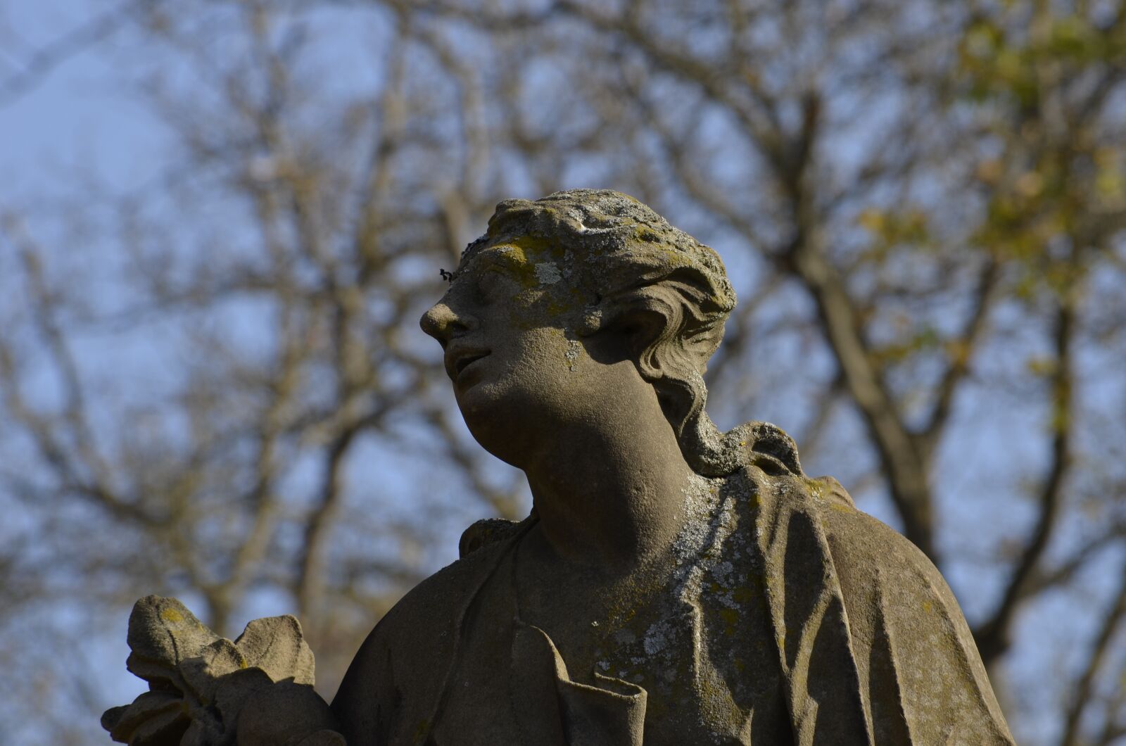 Nikon D5100 sample photo. Sculpture, courtyard garden, w photography