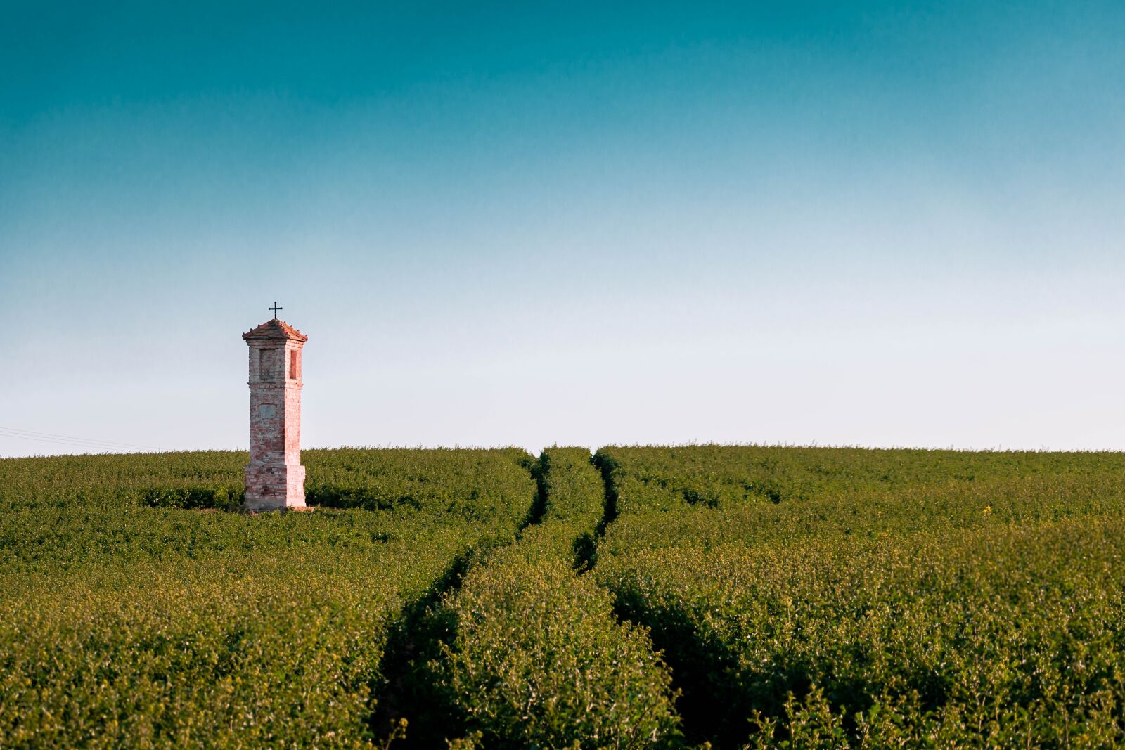 Nikon D5600 sample photo. Chapel, field, path photography