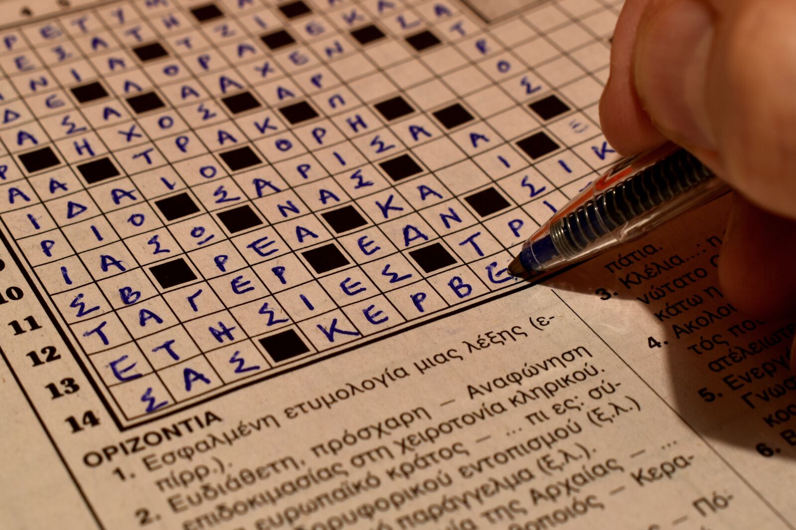 Nikon D3500 sample photo. Crossword, puzzle, letters photography