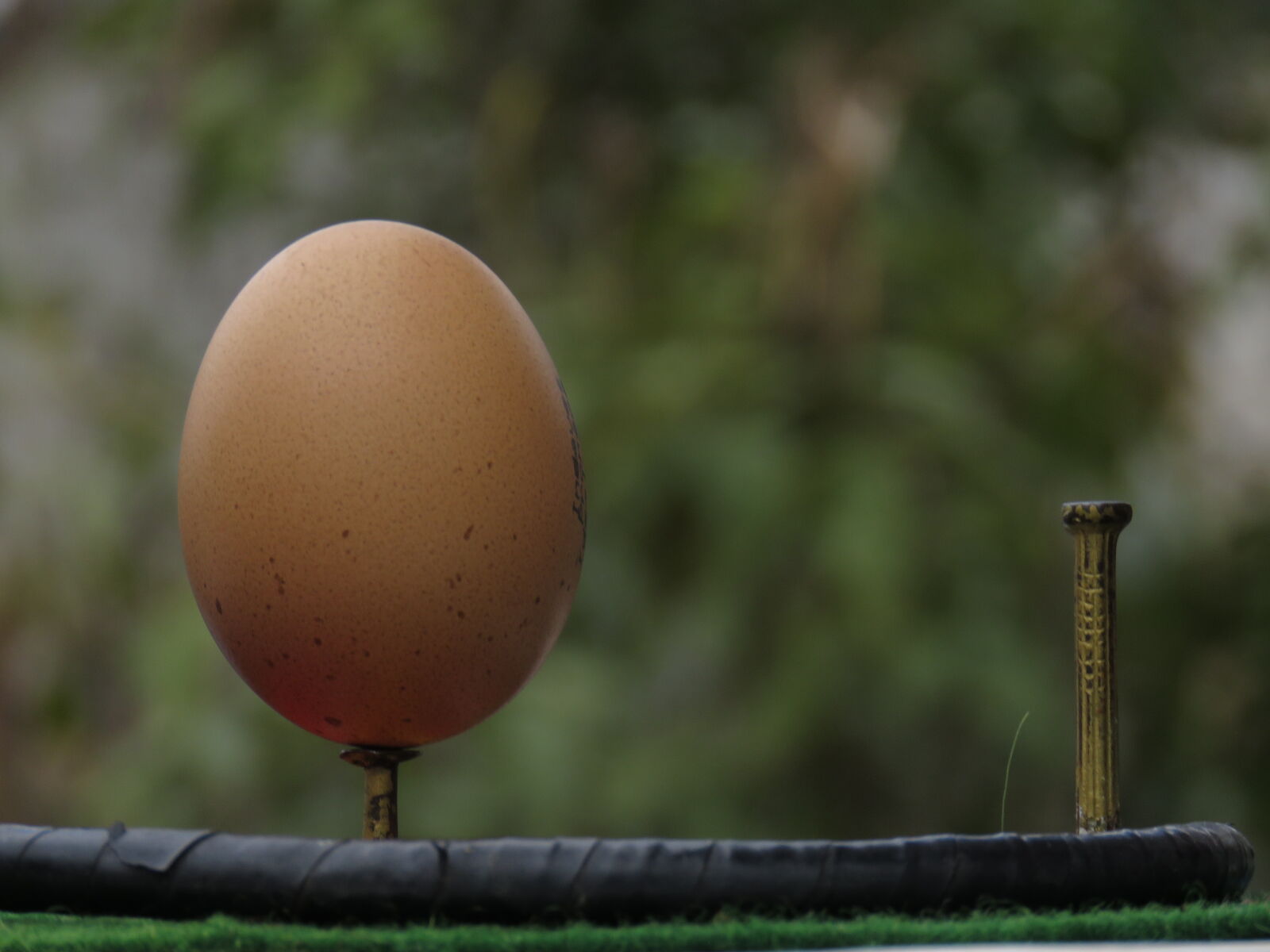 Canon PowerShot SX60 HS sample photo. Balance, egg, equator, nail photography