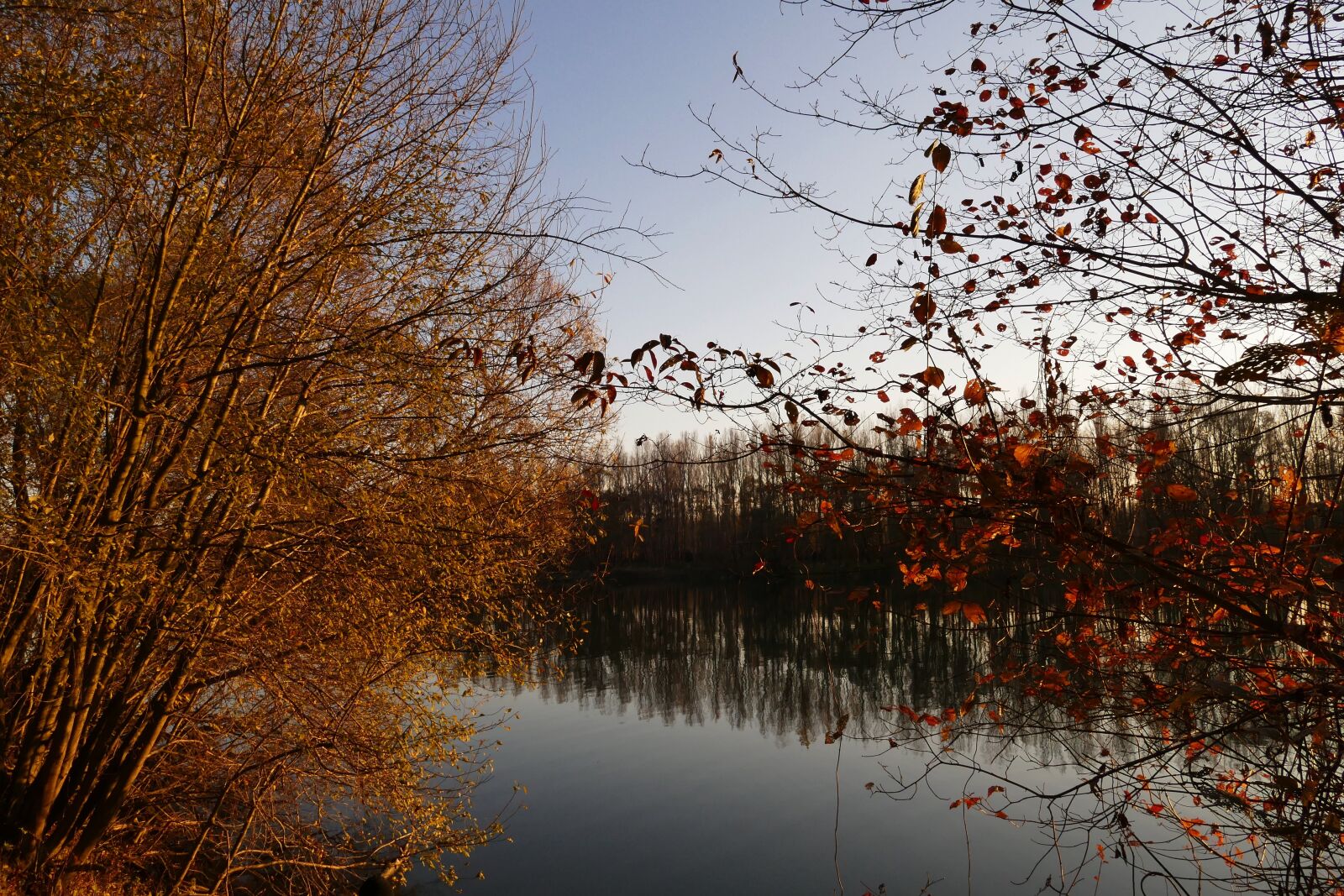 Panasonic Lumix DMC-FZ1000 sample photo. Nature, country, autumn photography