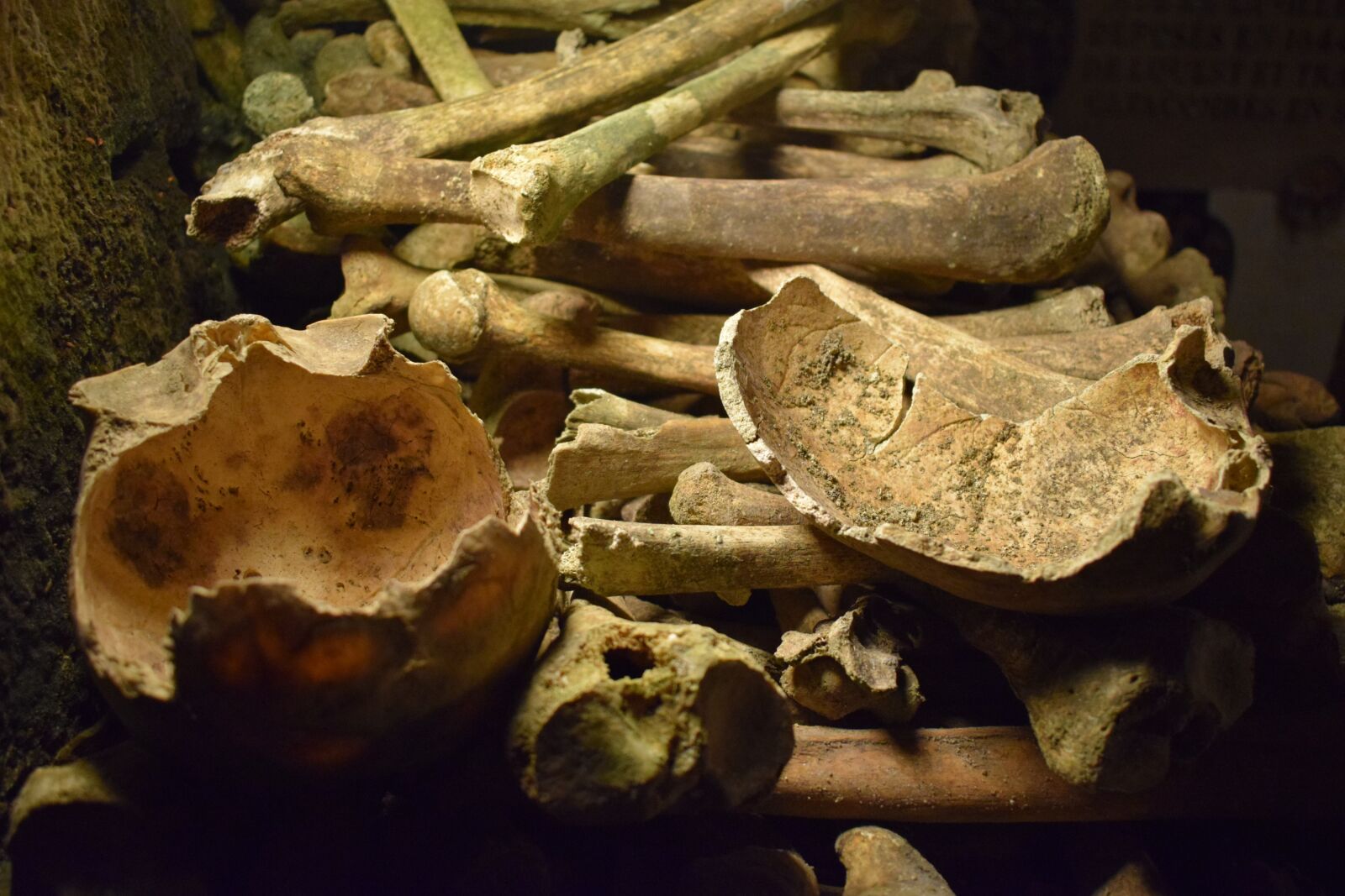Nikon D3300 sample photo. Paris, catacombs, bones photography
