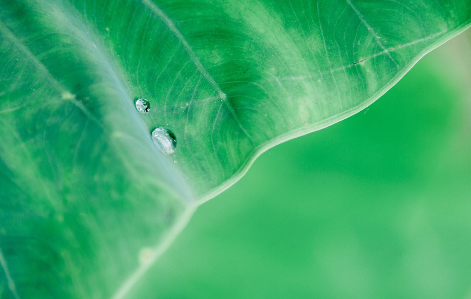 Nikon D700 sample photo. Landscape, travel, nature photography