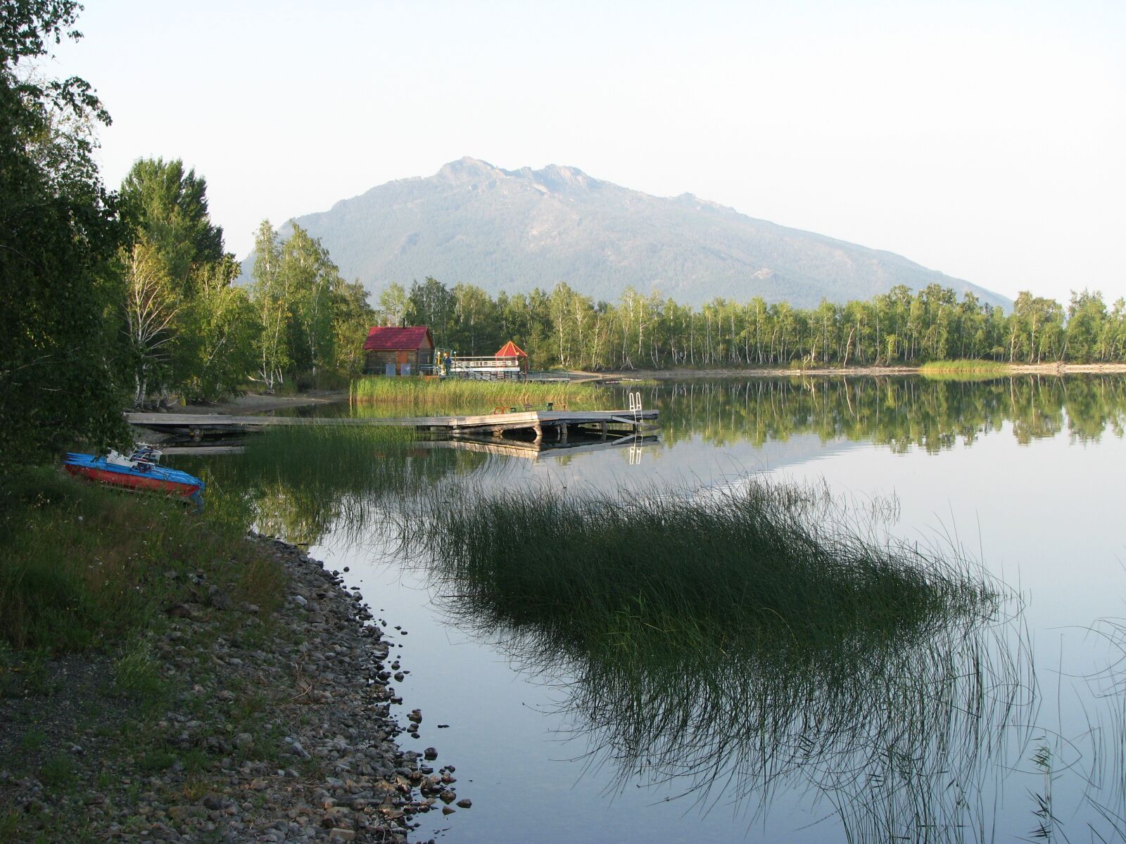 Canon POWERSHOT S5 IS sample photo. Reed, lake, water photography